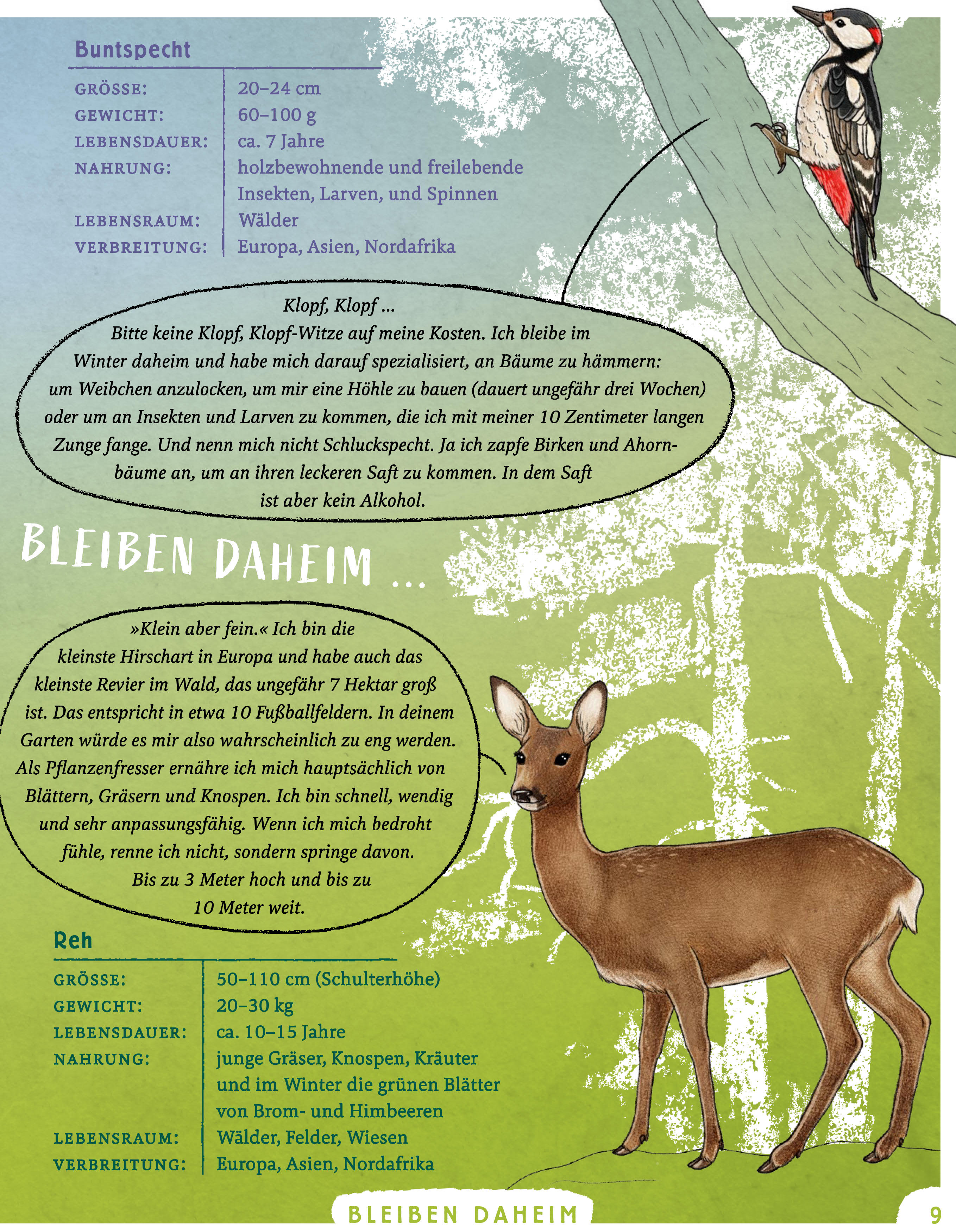 9783833909429_innenansicht_03 9783833909429_innenansicht_03.jpg