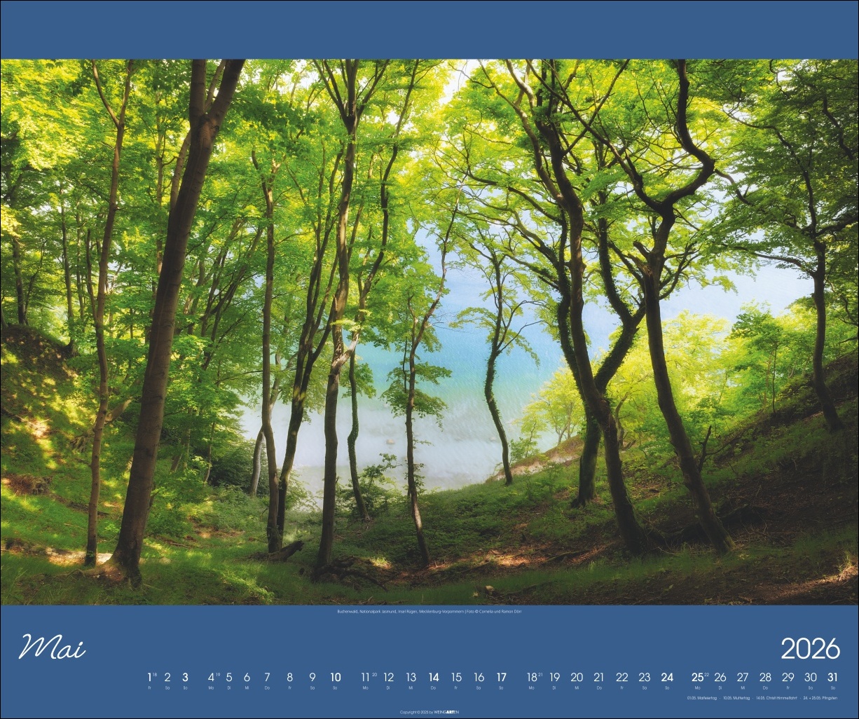 9783839902264_innenansicht_05 9783839902264_innenansicht_05.jpg