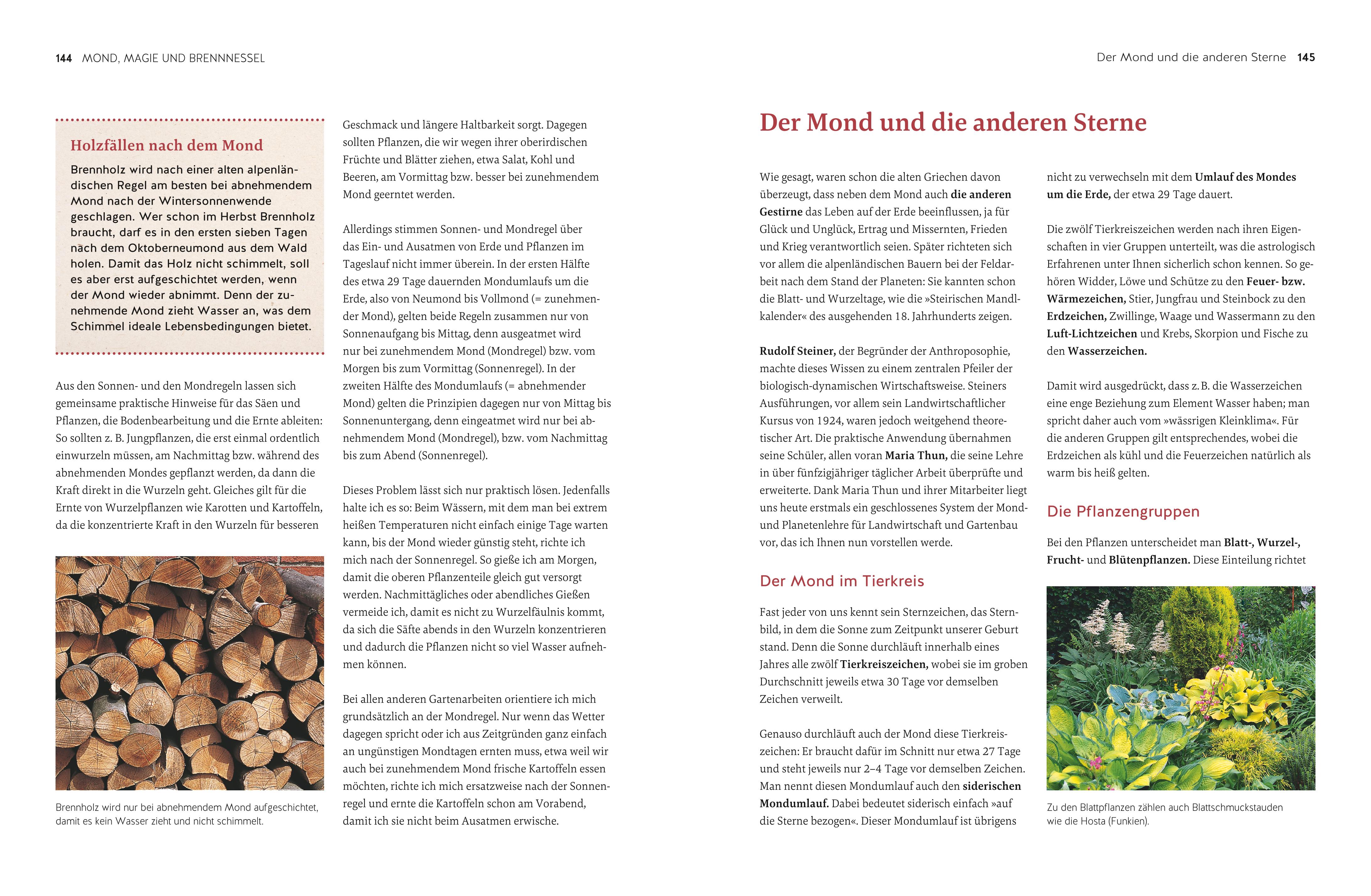 9783833896910_innenansicht_06 9783833896910_innenansicht_06.jpg