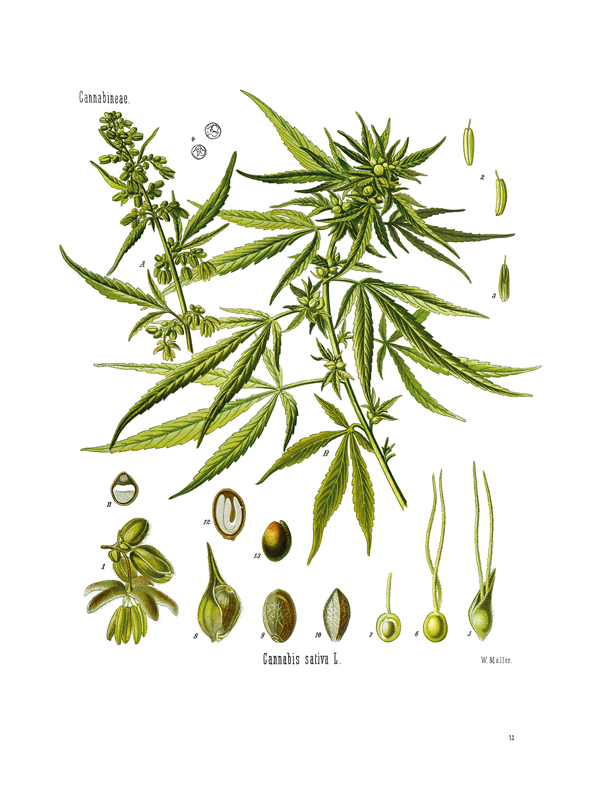 9783968491158_innenansicht_03 9783968491158_innenansicht_03.jpg