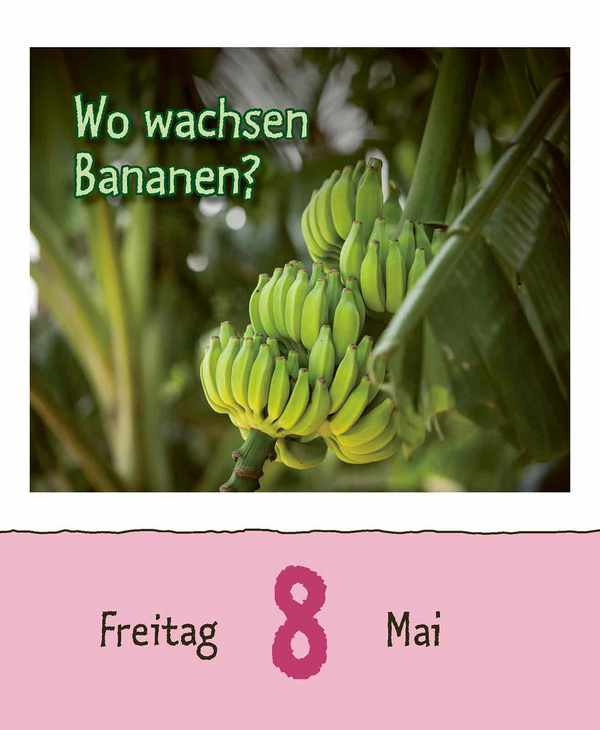 9783731886976_innenansicht_08.jpg