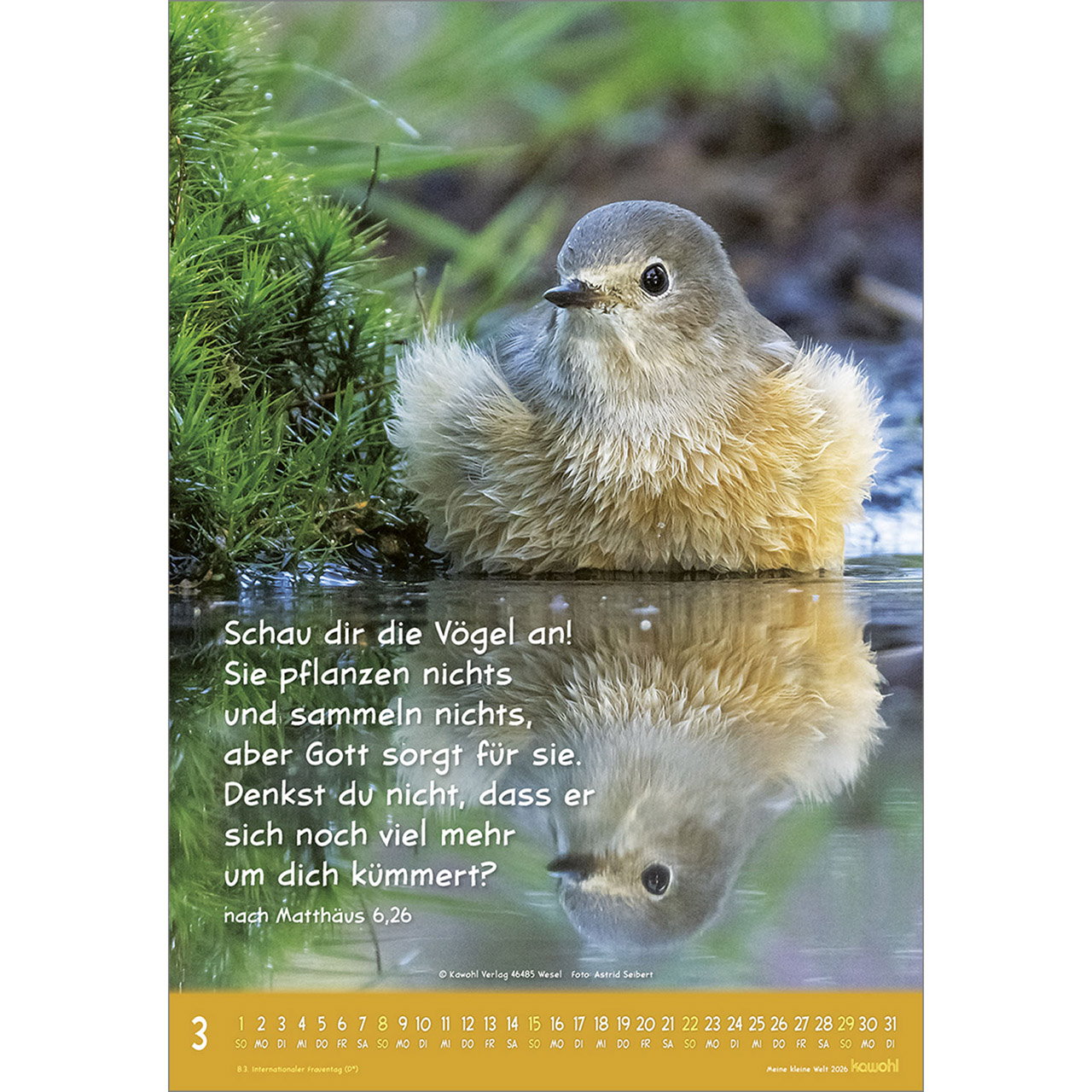 9783754845066_innenansicht_03 9783754845066_innenansicht_03.jpg