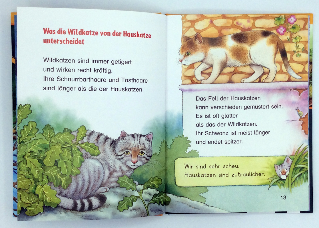 9783401715735_innenansicht_06.jpg