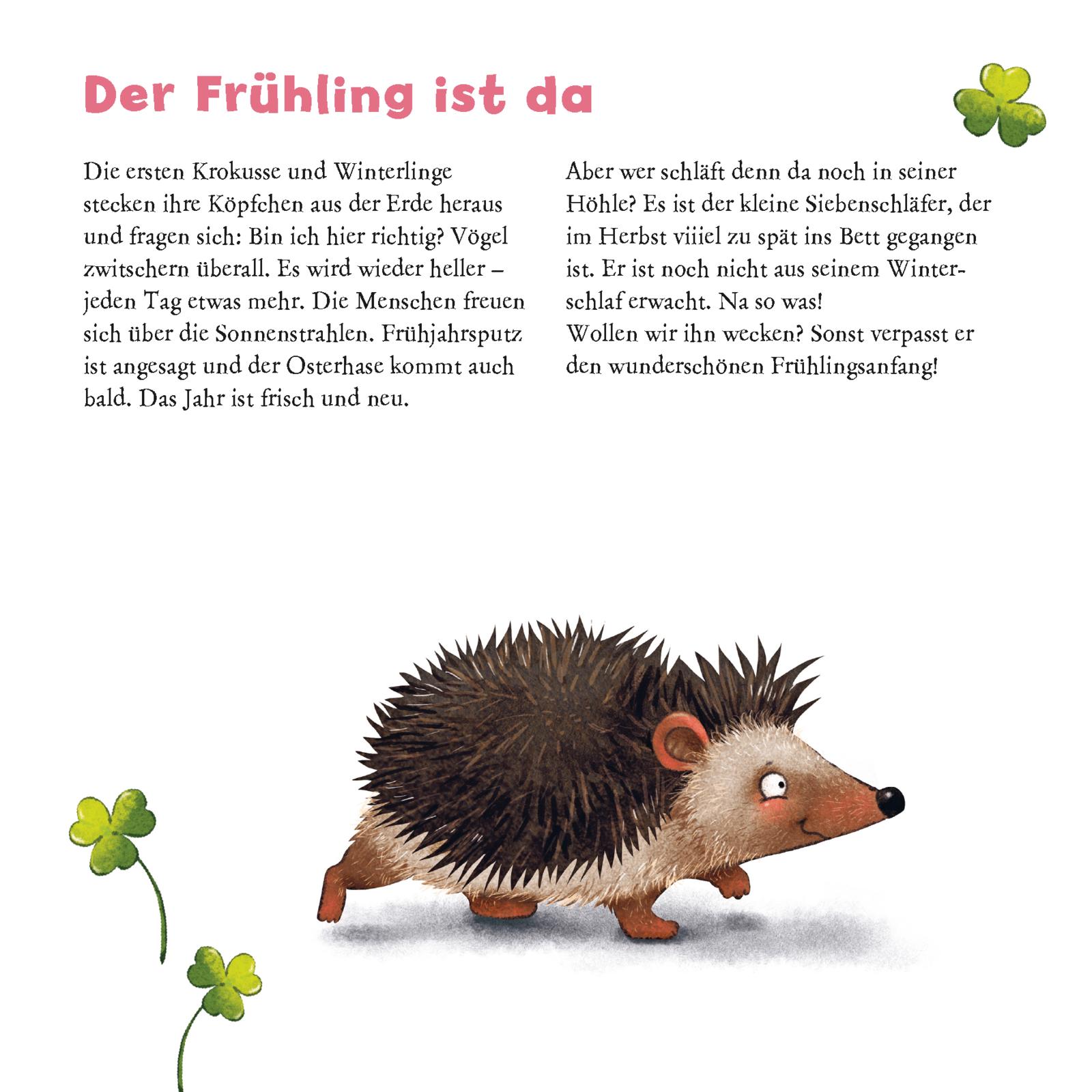 9783551033802_innenansicht_01 9783551033802_innenansicht_01.jpg