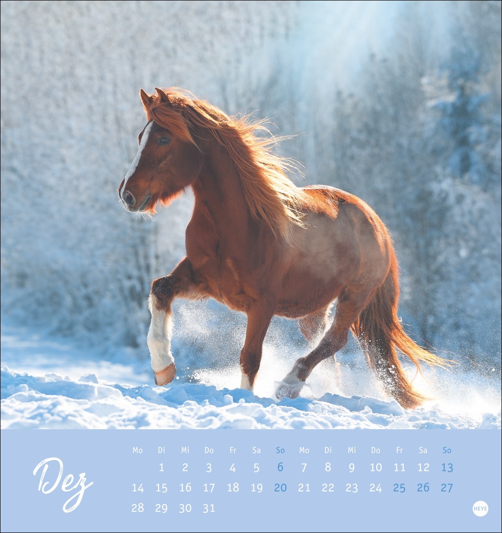 9783756410477_innenansicht_12 9783756410477_innenansicht_12.jpg