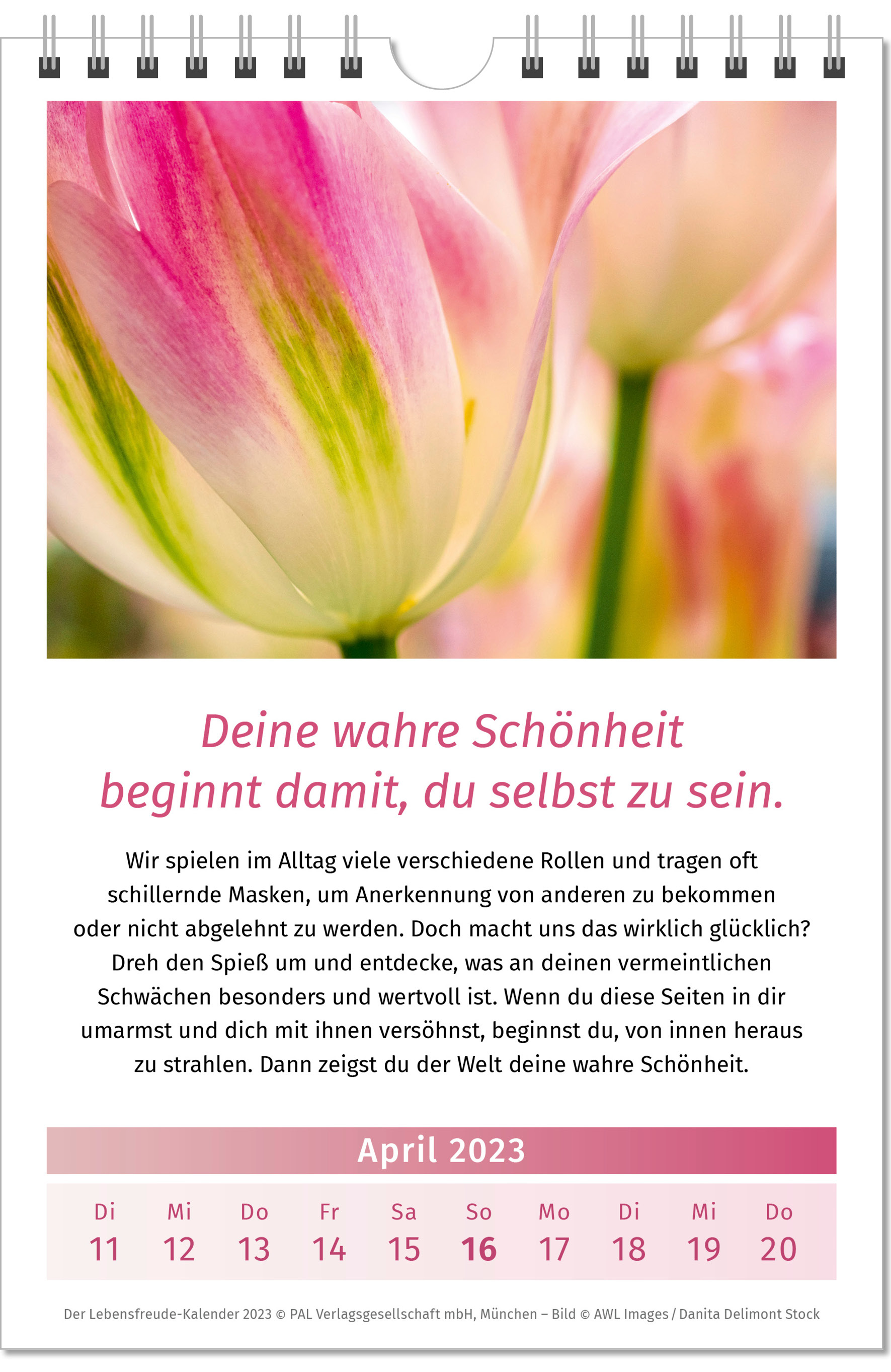 9783923614028_innenansicht_04.jpg