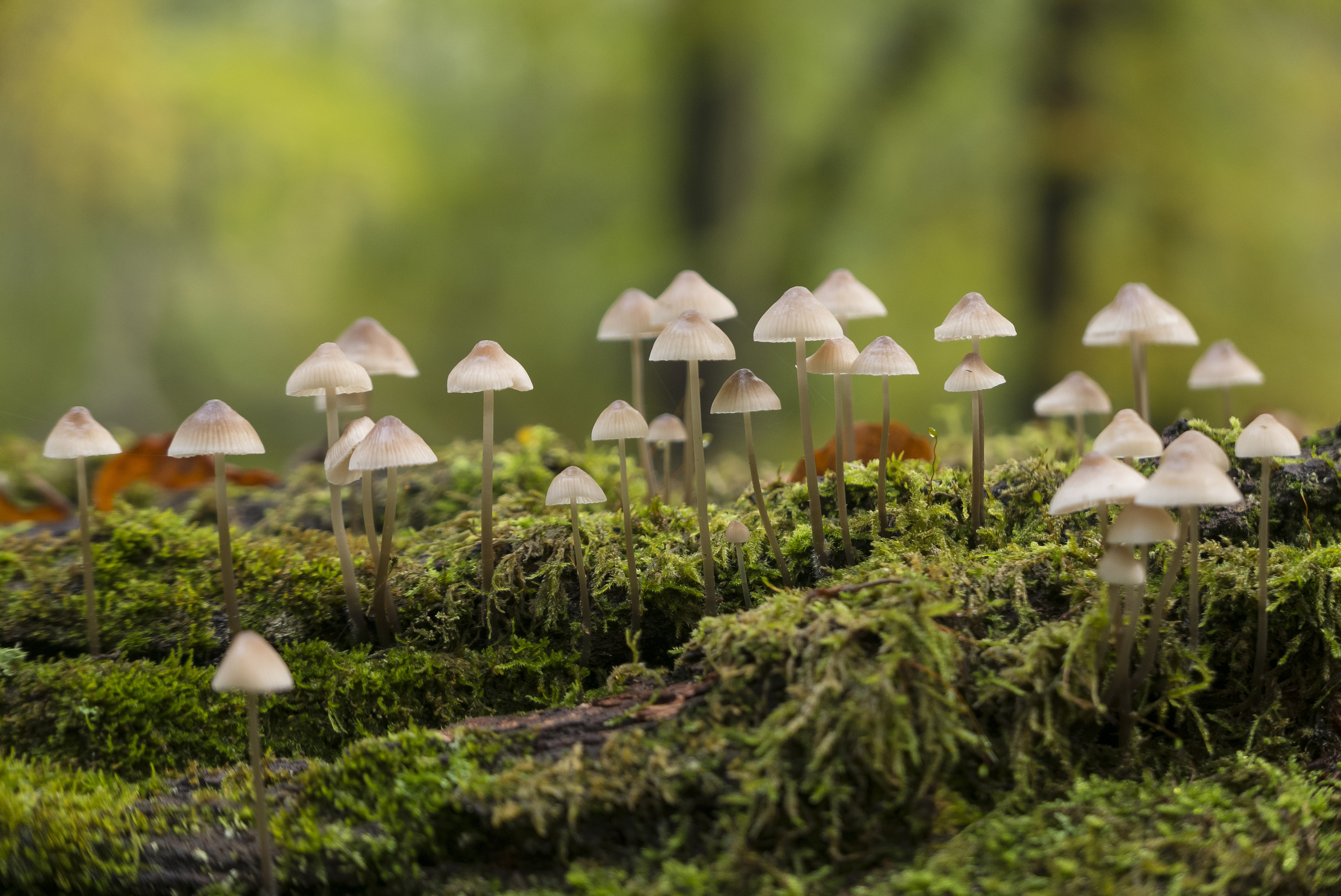 9783734332302_innenansicht_08 9783734332302_innenansicht_08.jpg