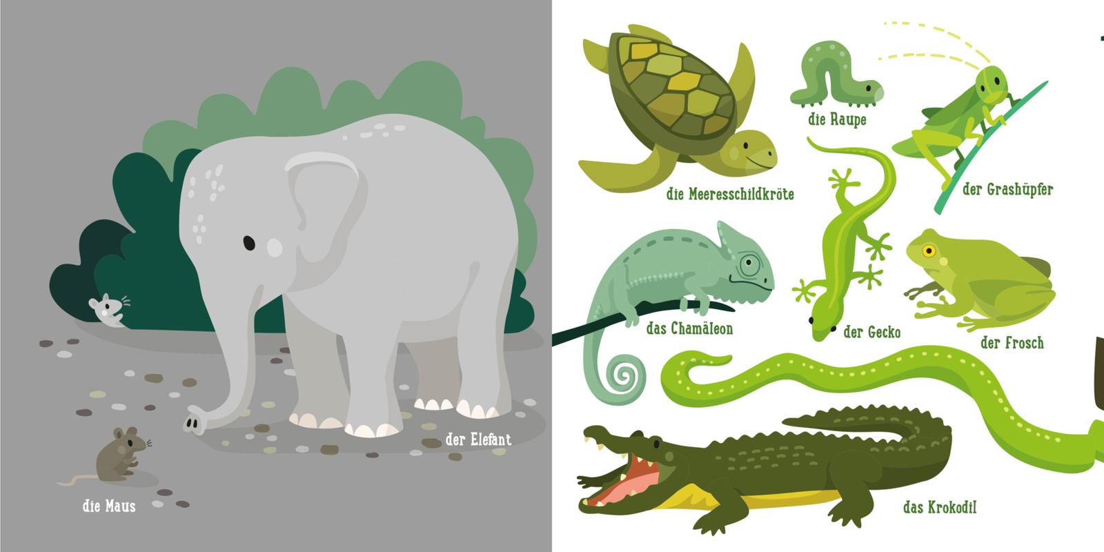 9783551051950_innenansicht_05 9783551051950_innenansicht_05.jpg