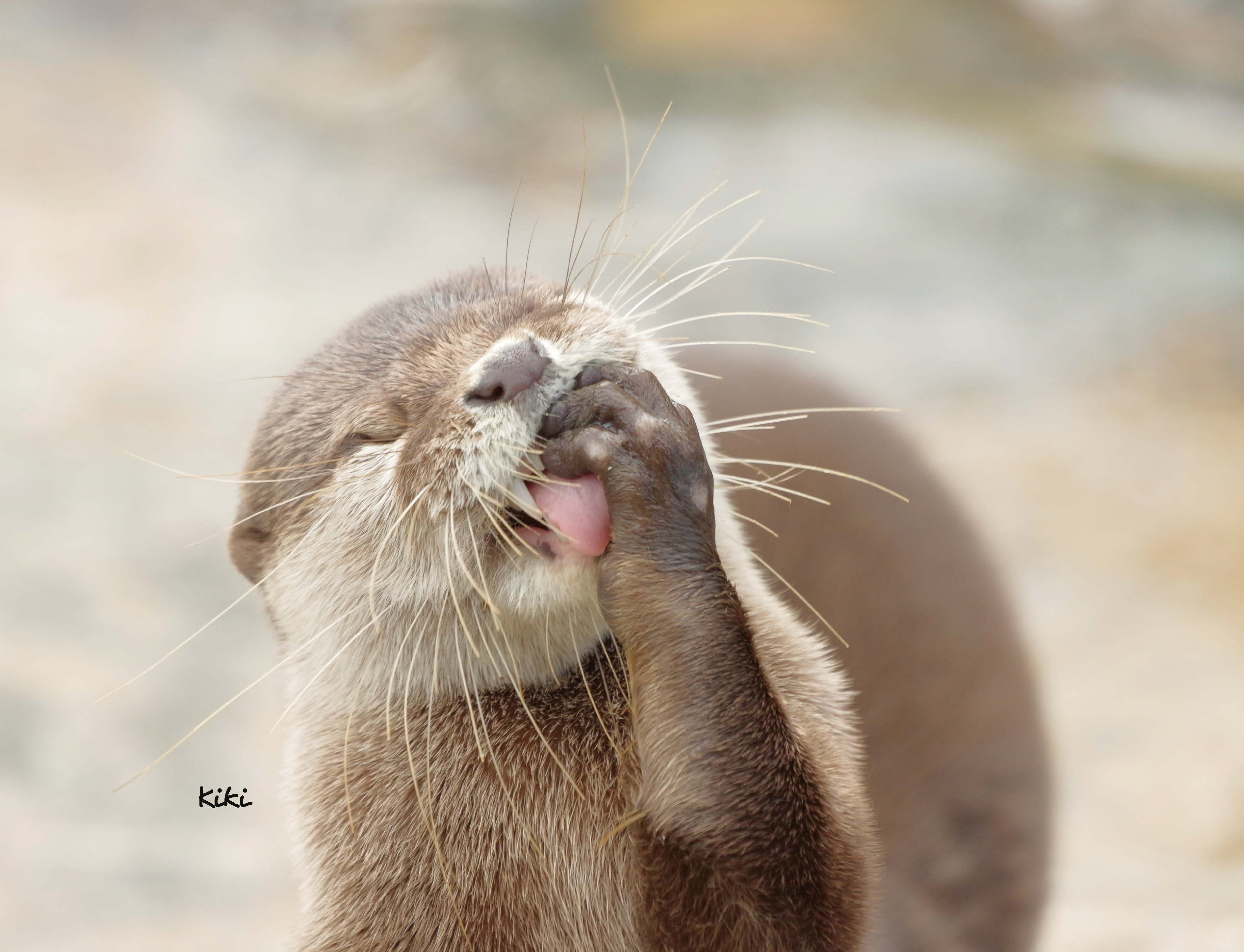 9783966649964_innenansicht_03 9783966649964_innenansicht_03.jpg