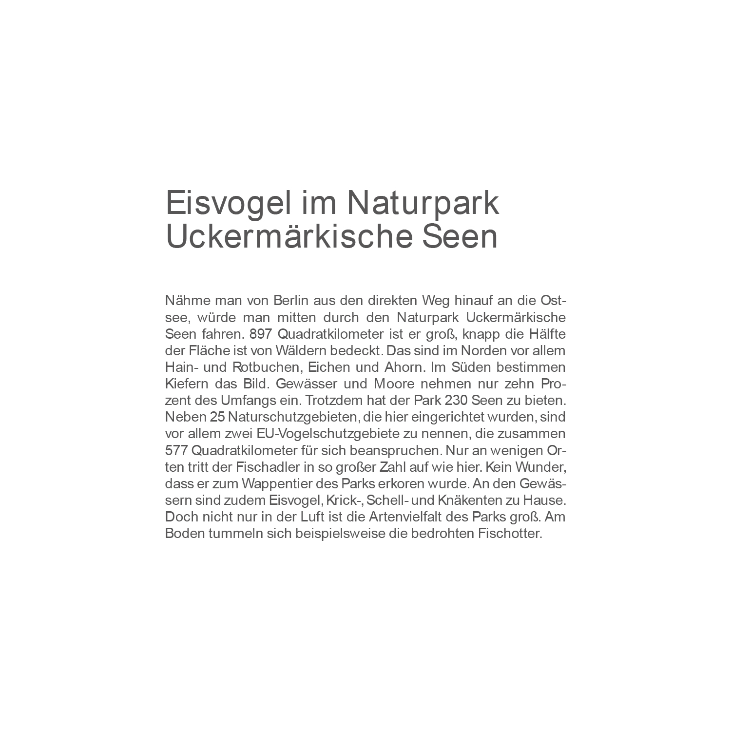 9783965912939_innenansicht_28.jpg