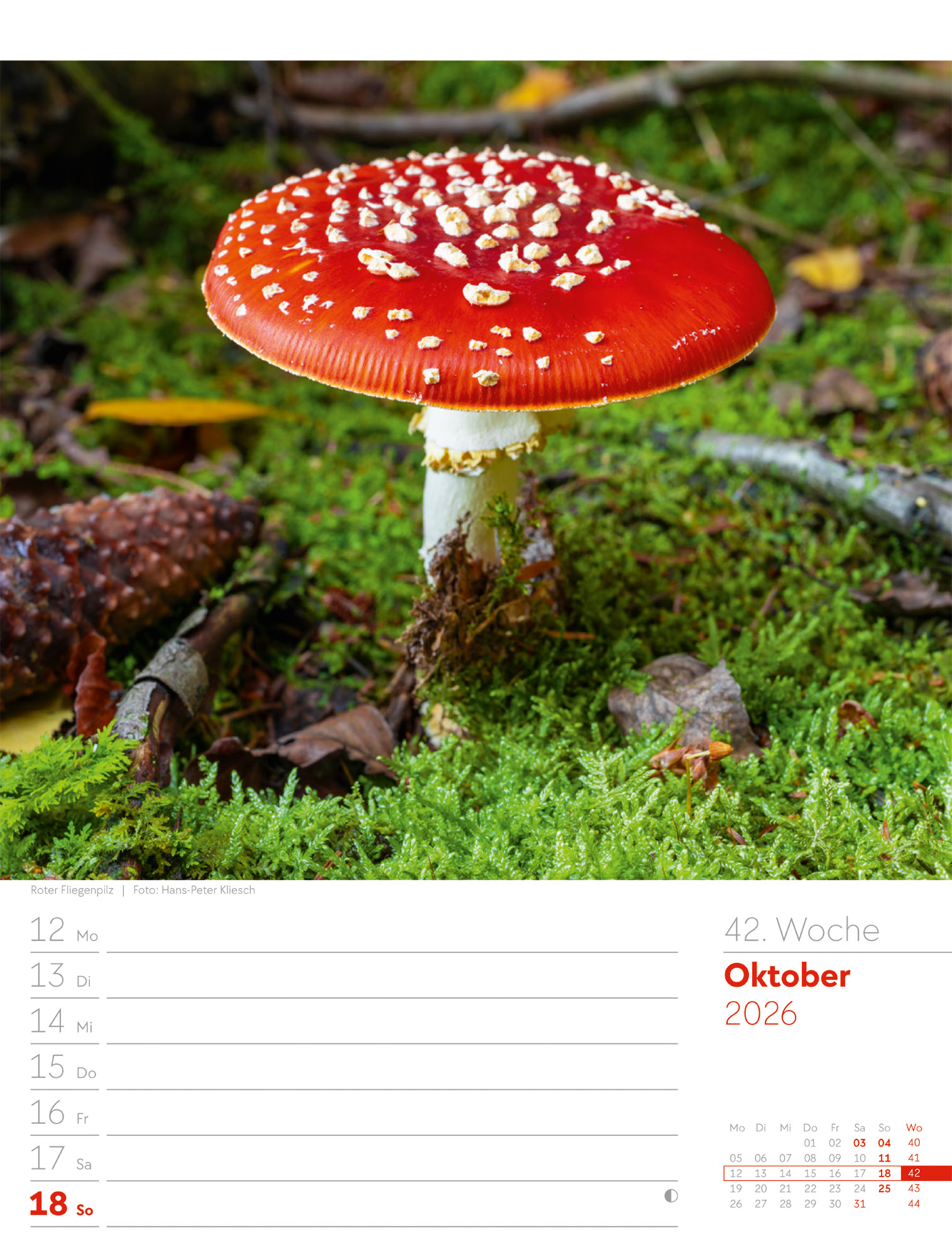 9783838426976_innenansicht_45 9783838426976_innenansicht_45.jpg