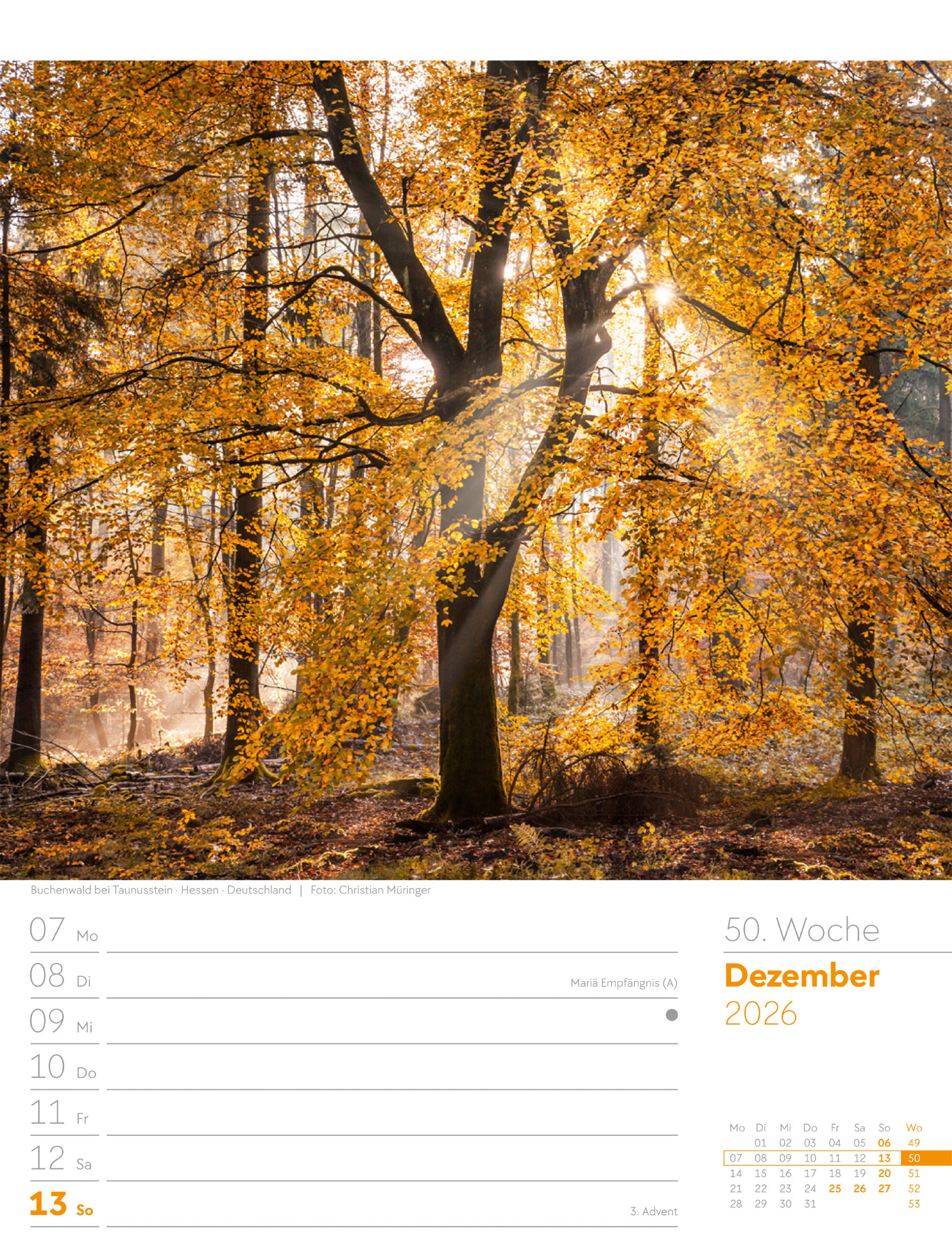 9783838426976_innenansicht_53 9783838426976_innenansicht_53.jpg