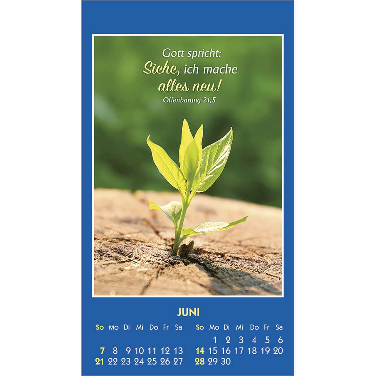 9783754893968_innenansicht_06.jpg