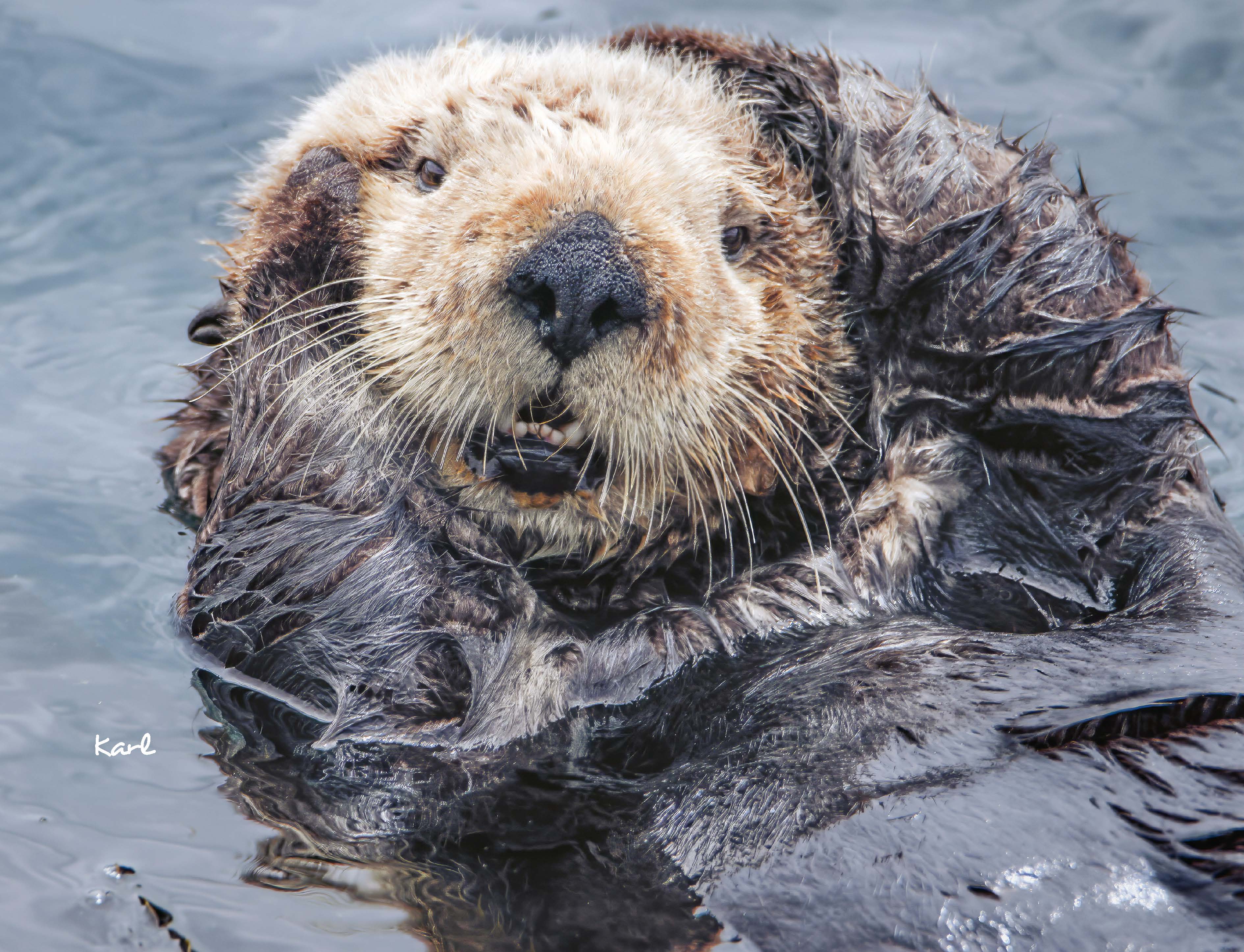 9783966649964_innenansicht_01 9783966649964_innenansicht_01.jpg