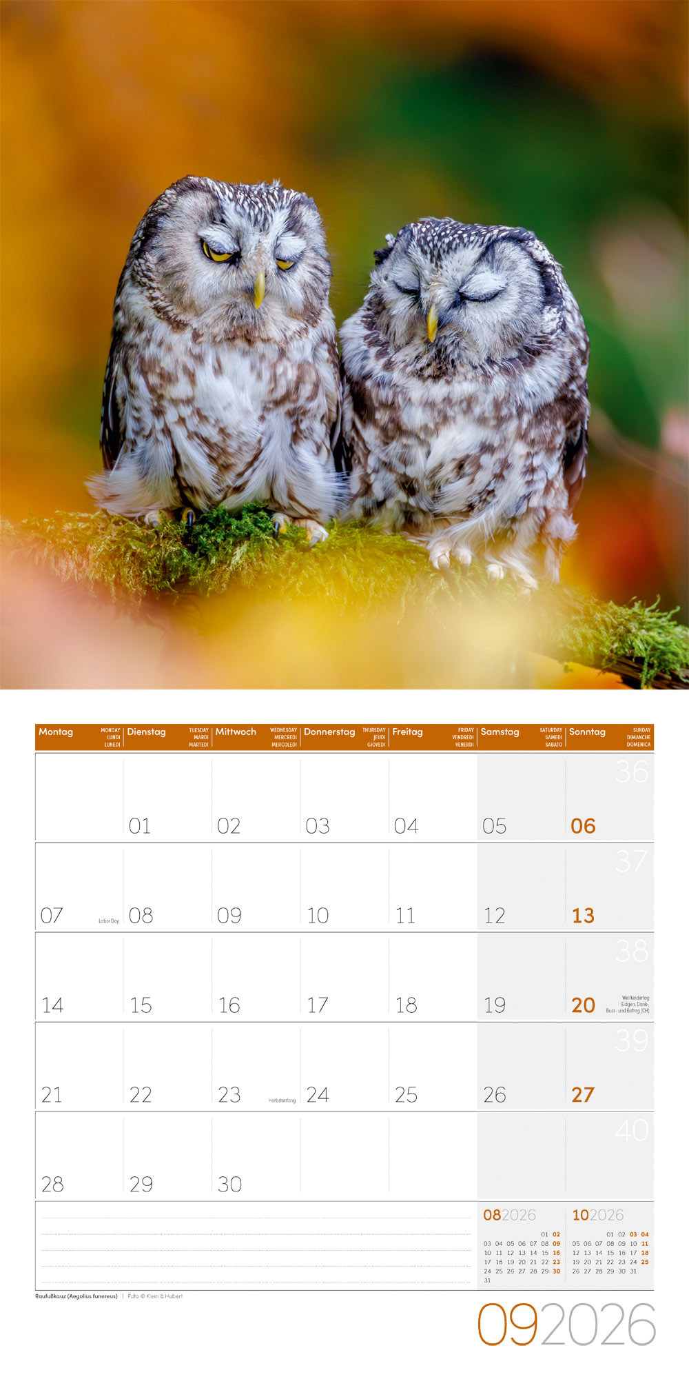 9783838446240_innenansicht_09 9783838446240_innenansicht_09.jpg