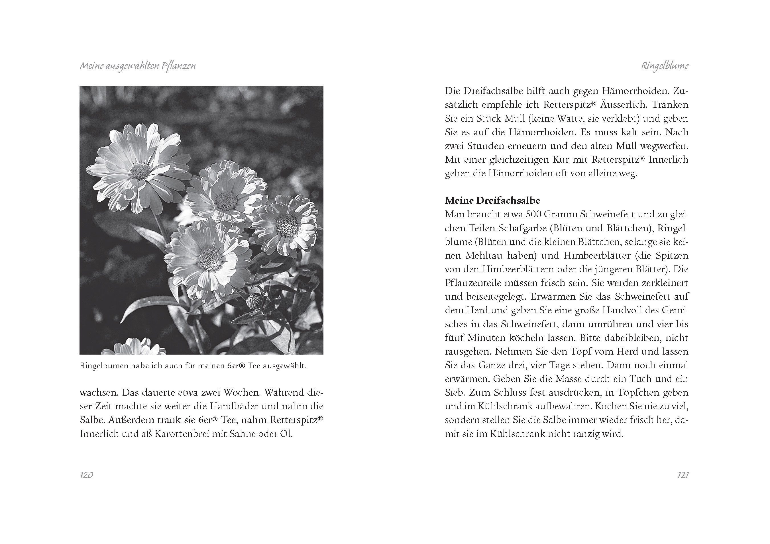 9783809451242_innenansicht_02 9783809451242_innenansicht_02.jpg