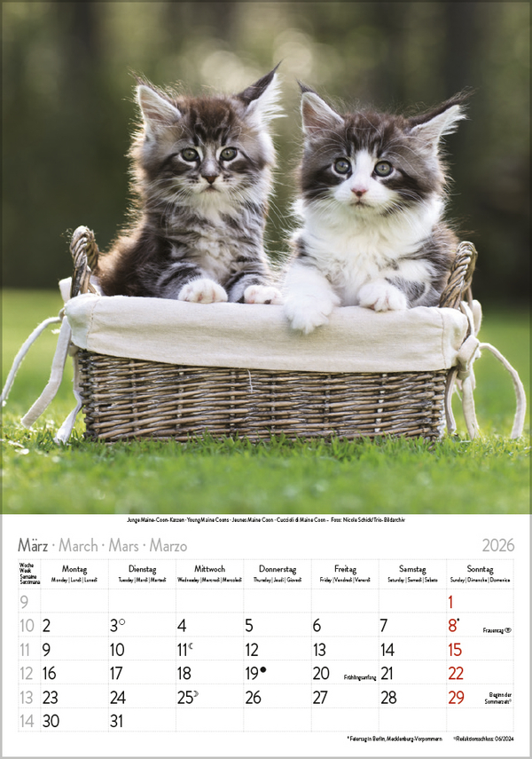 9783731883609_innenansicht_03 9783731883609_innenansicht_03.jpg