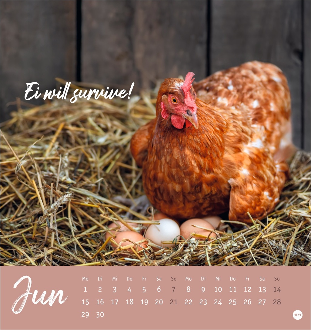 9783756412310_innenansicht_06 9783756412310_innenansicht_06.jpg