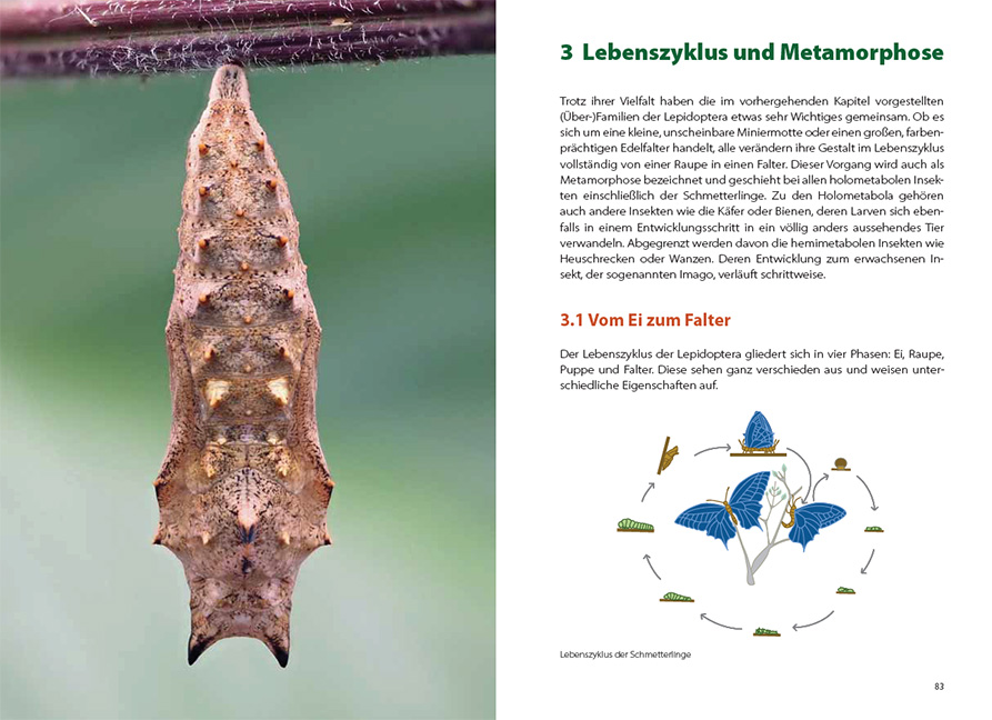 9783258083582_innenansicht_03 9783258083582_innenansicht_03.jpg