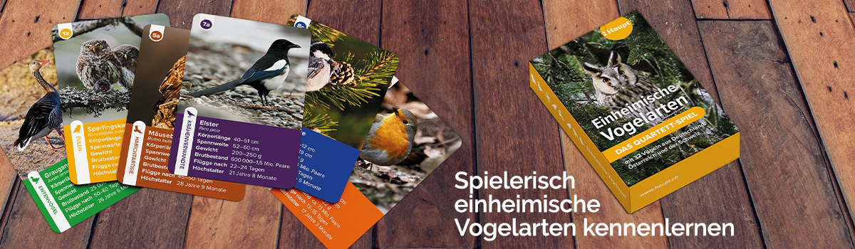 9783258800028_buehnenbild.jpg