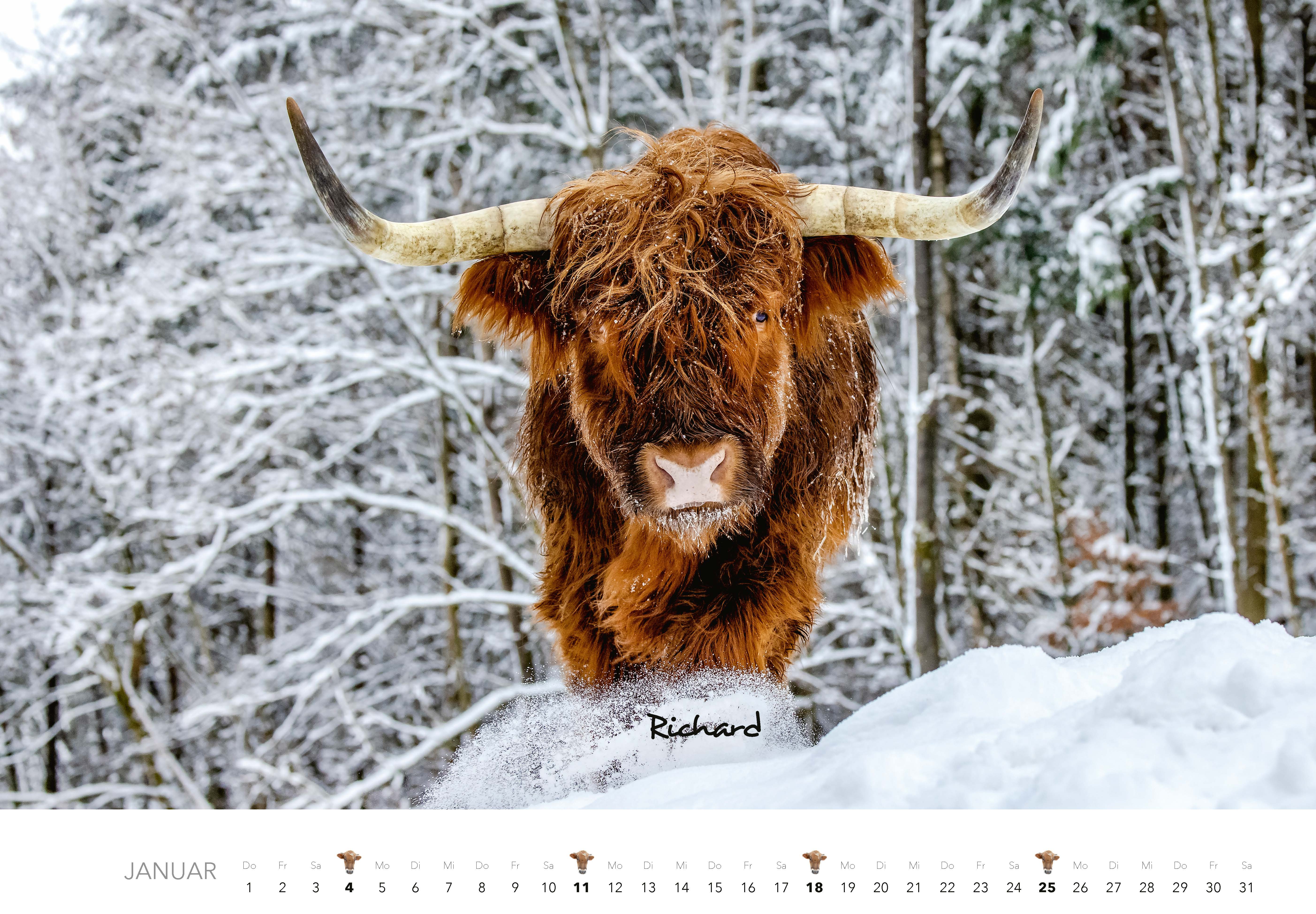 9783966649582_innenansicht_01 9783966649582_innenansicht_01.jpg