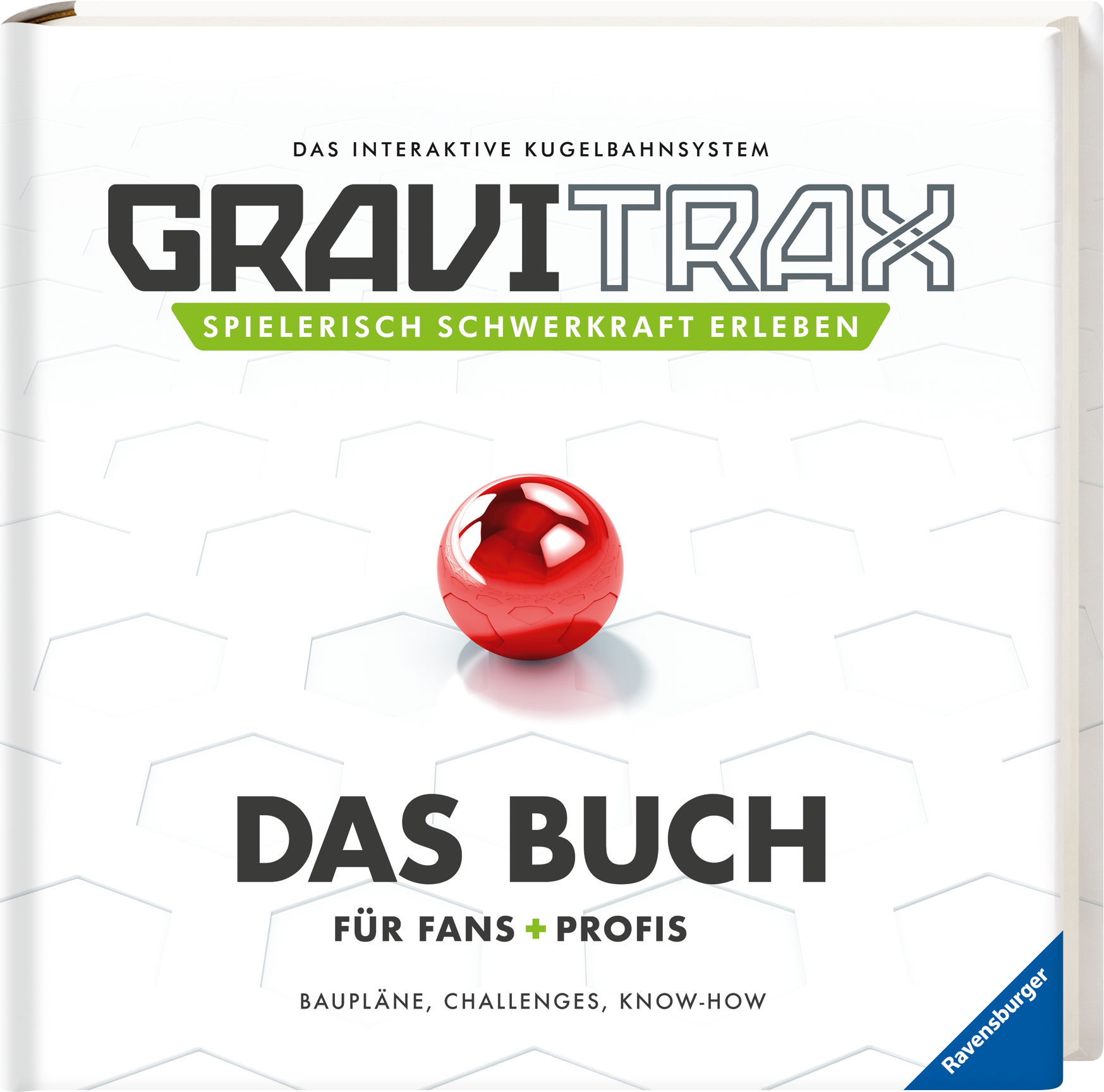9783473417193_innenansicht_01.jpg