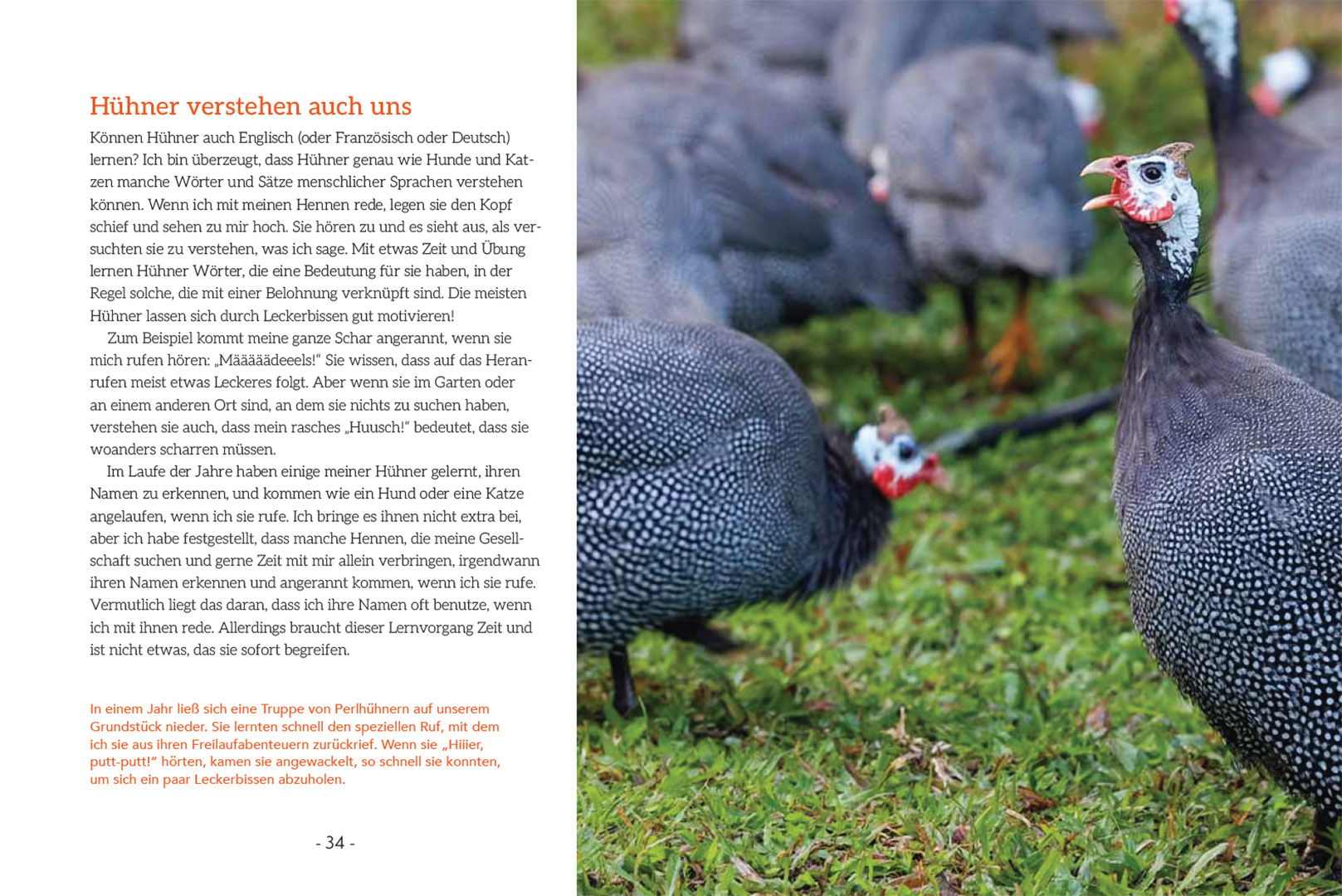 9783258084503_innenansicht_04 9783258084503_innenansicht_04.jpg