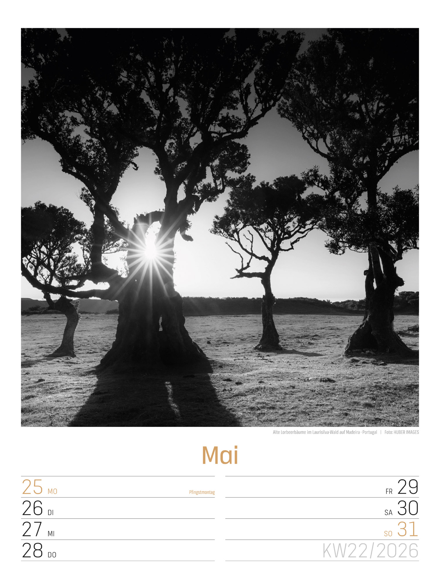 9783838436265_innenansicht_25 9783838436265_innenansicht_25.jpg