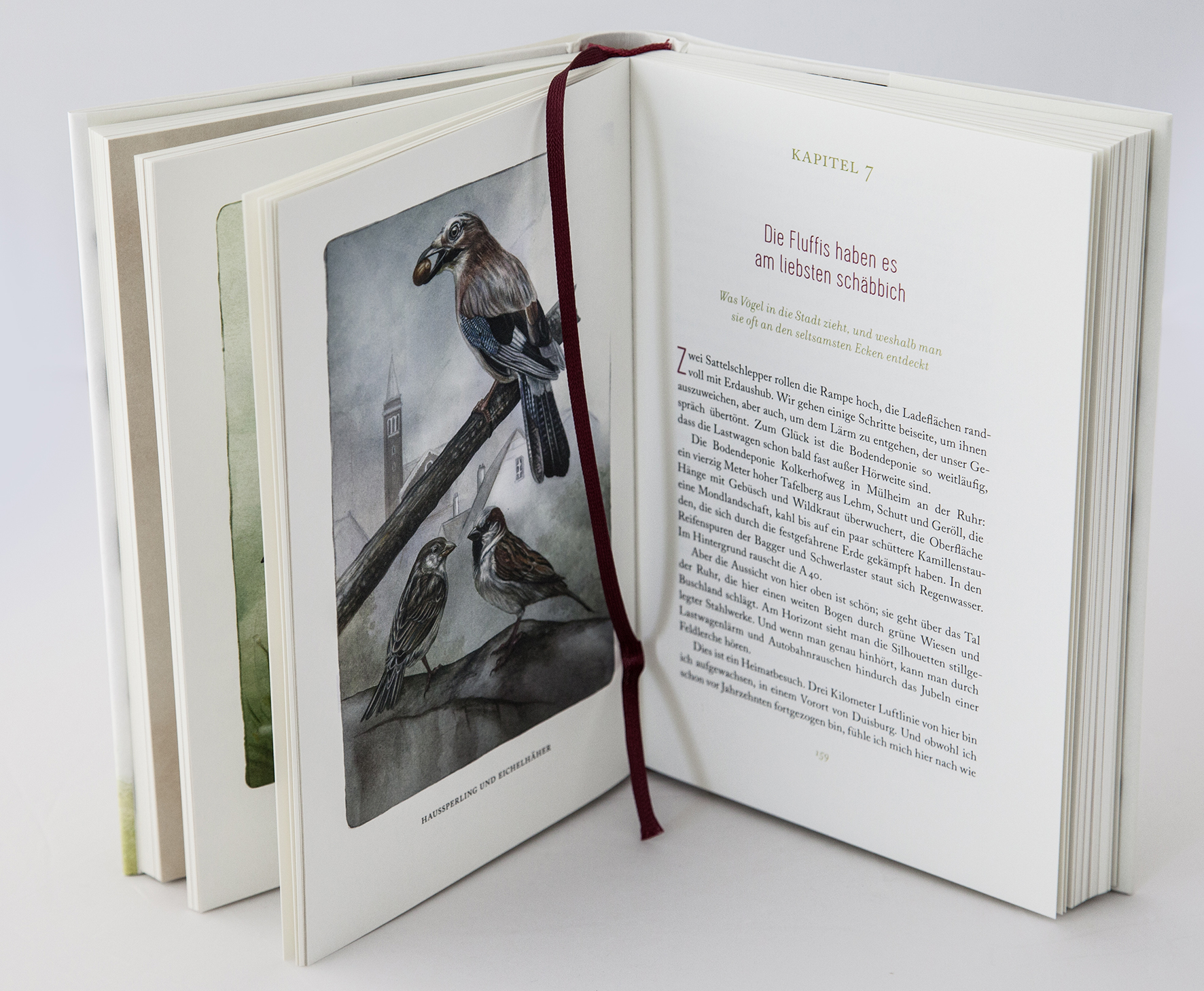 9783431040883_innenansicht_03.jpg 9783431040883_innenansicht_03.jpg