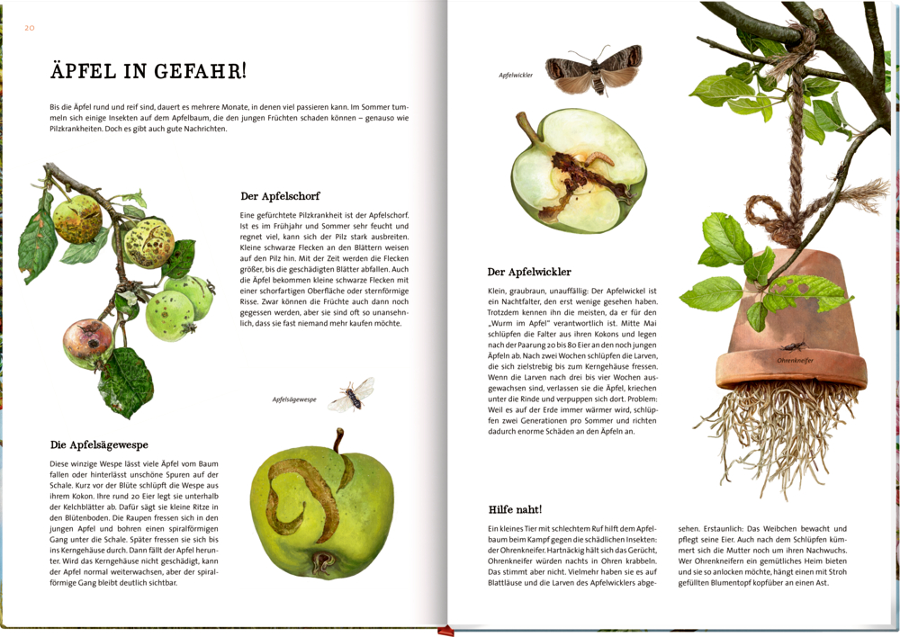 9783649637752_innenansicht_02 9783649637752_innenansicht_02.jpg