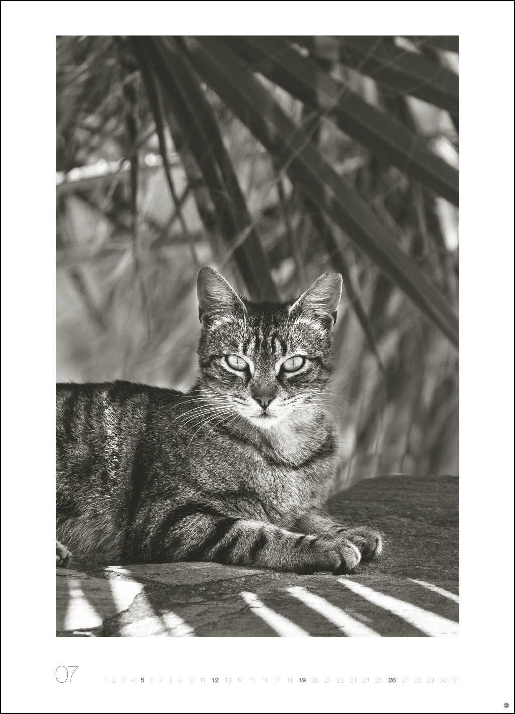 9783756411313_innenansicht_07 9783756411313_innenansicht_07.jpg