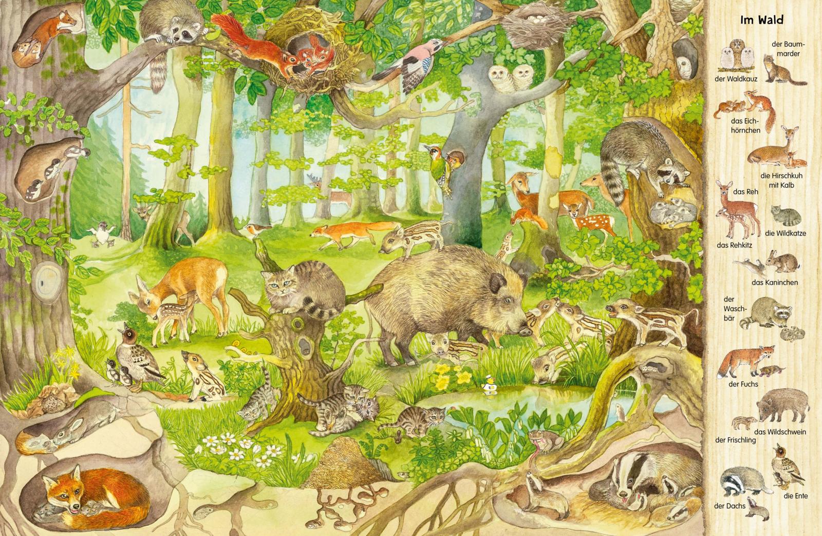 9783480238699_innenansicht_01 9783480238699_innenansicht_01.jpg