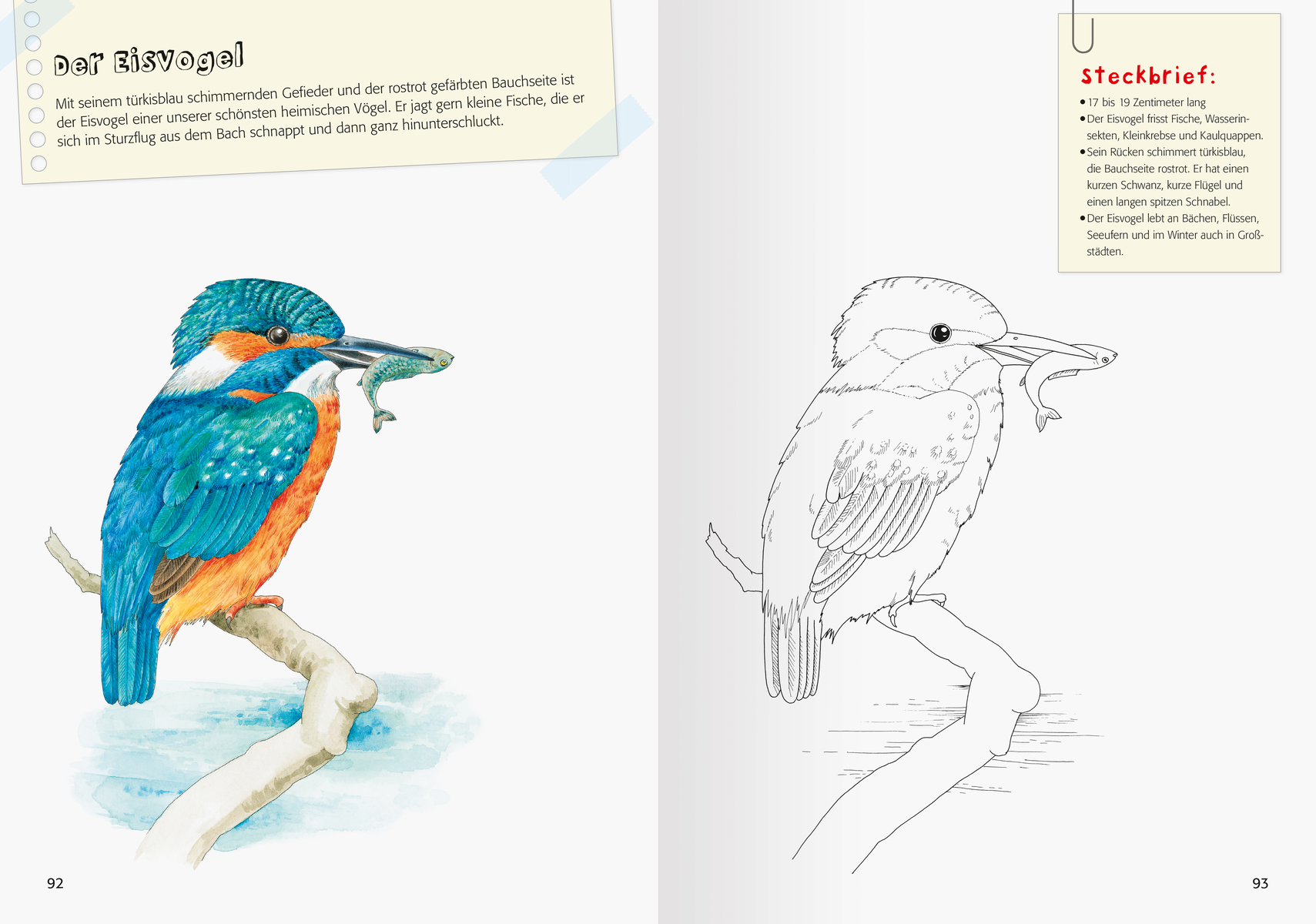 9783473489473_innenansicht_01 9783473489473_innenansicht_01.jpg