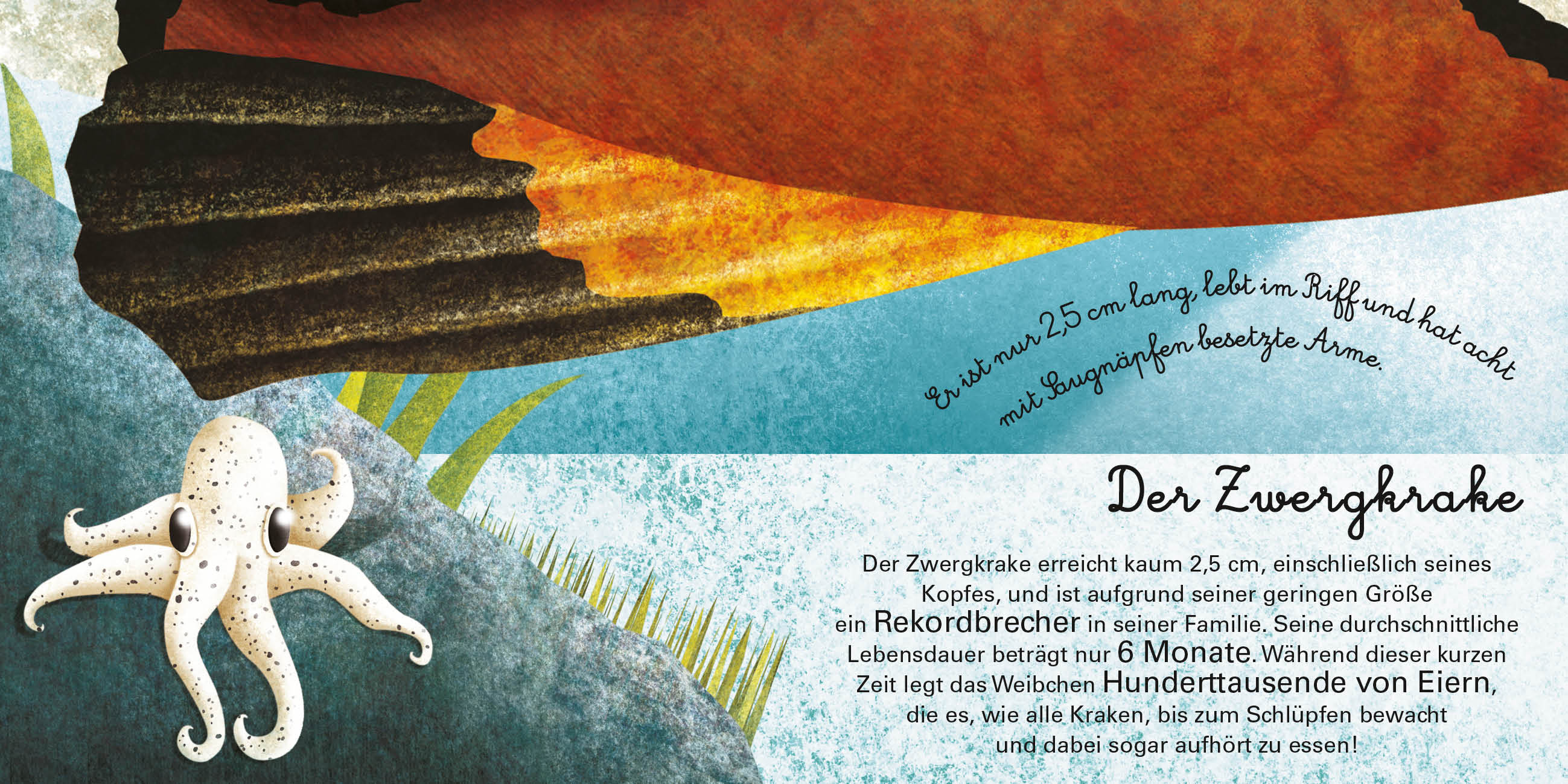 9788863125818_innenansicht_08 9788863125818_innenansicht_08.jpg