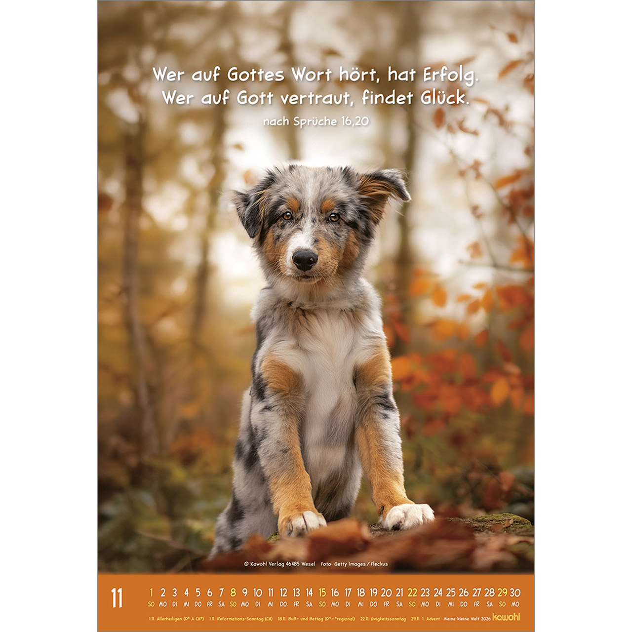 9783754845066_innenansicht_11 9783754845066_innenansicht_11.jpg