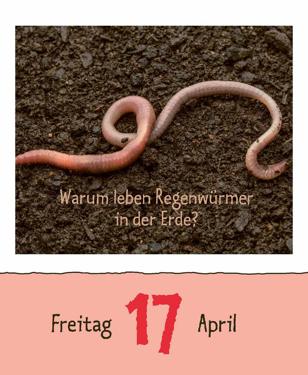9783731889199_innenansicht_06.jpg