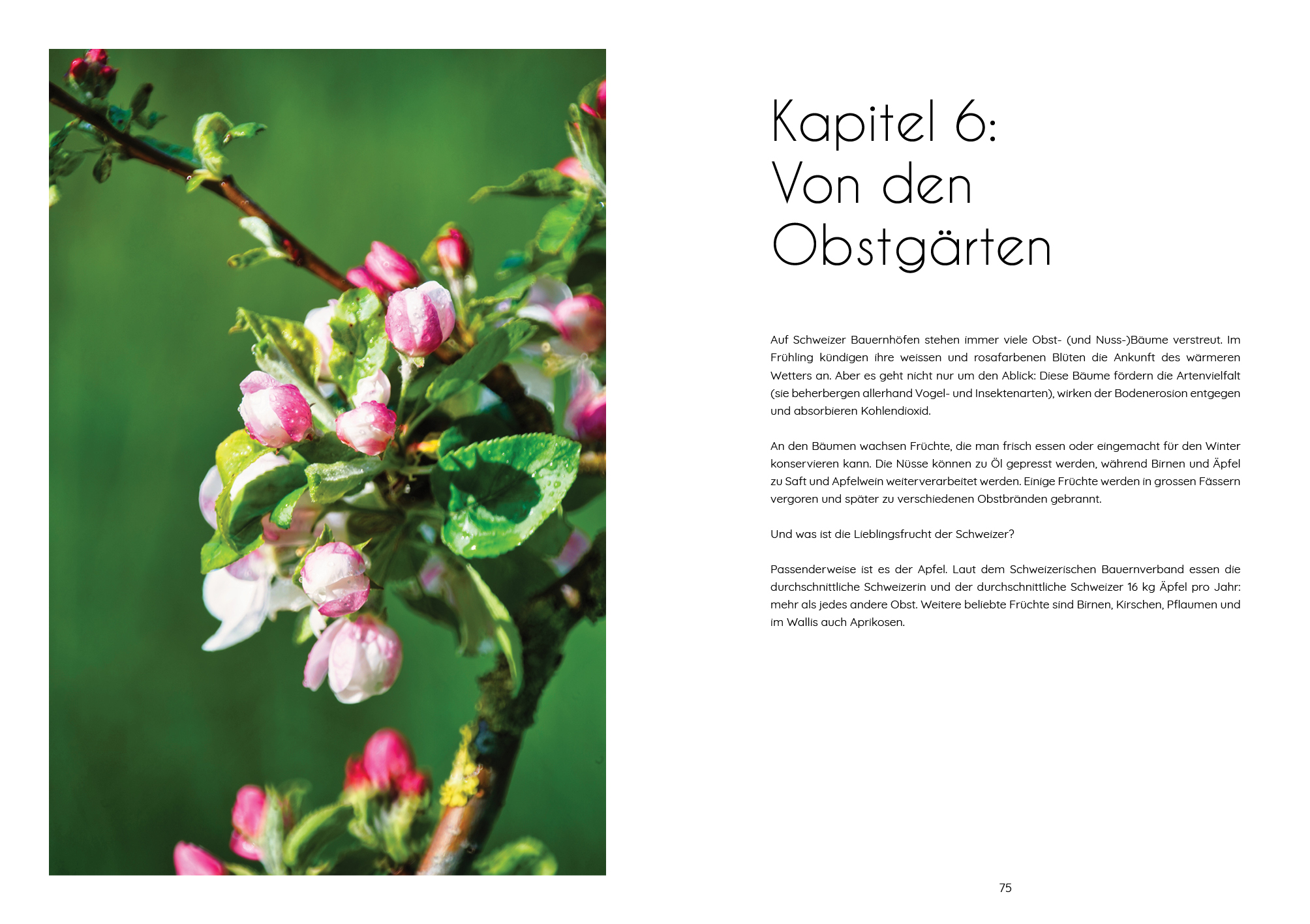 9783038691600_innenansicht_05 9783038691600_innenansicht_05.jpg