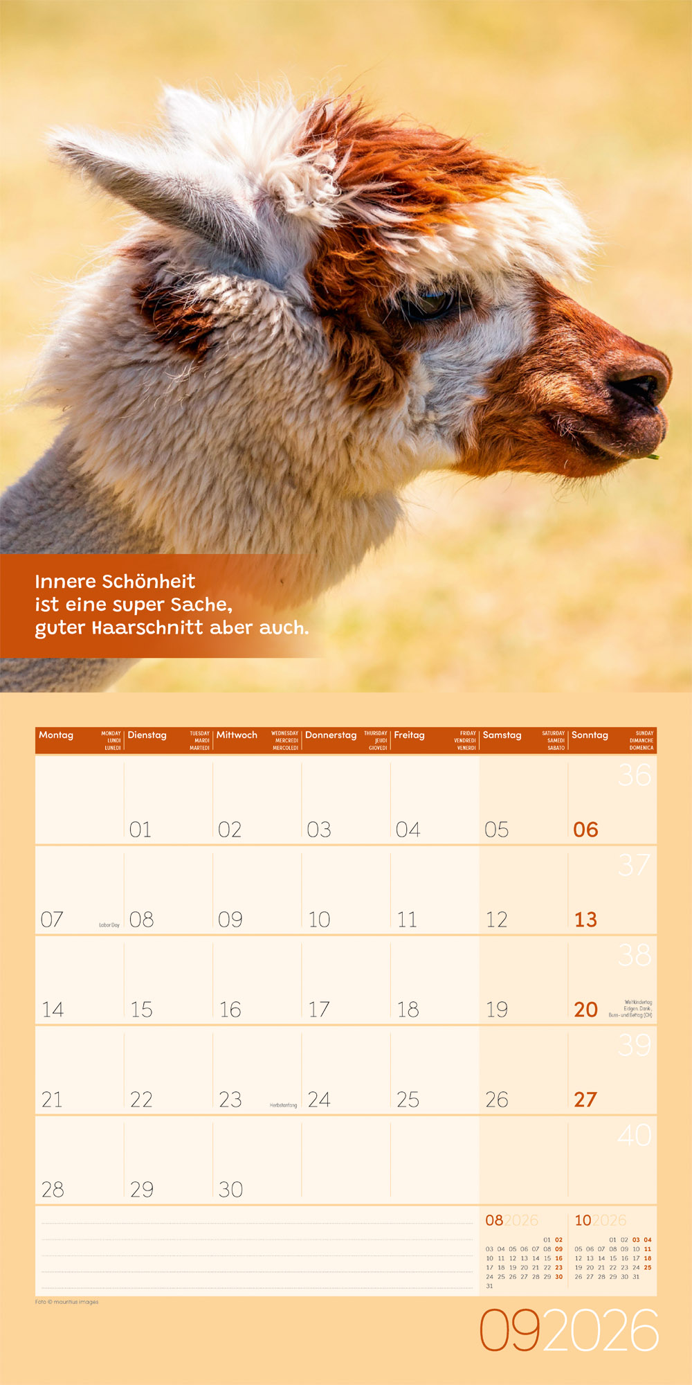 9783838446271_innenansicht_09.jpg