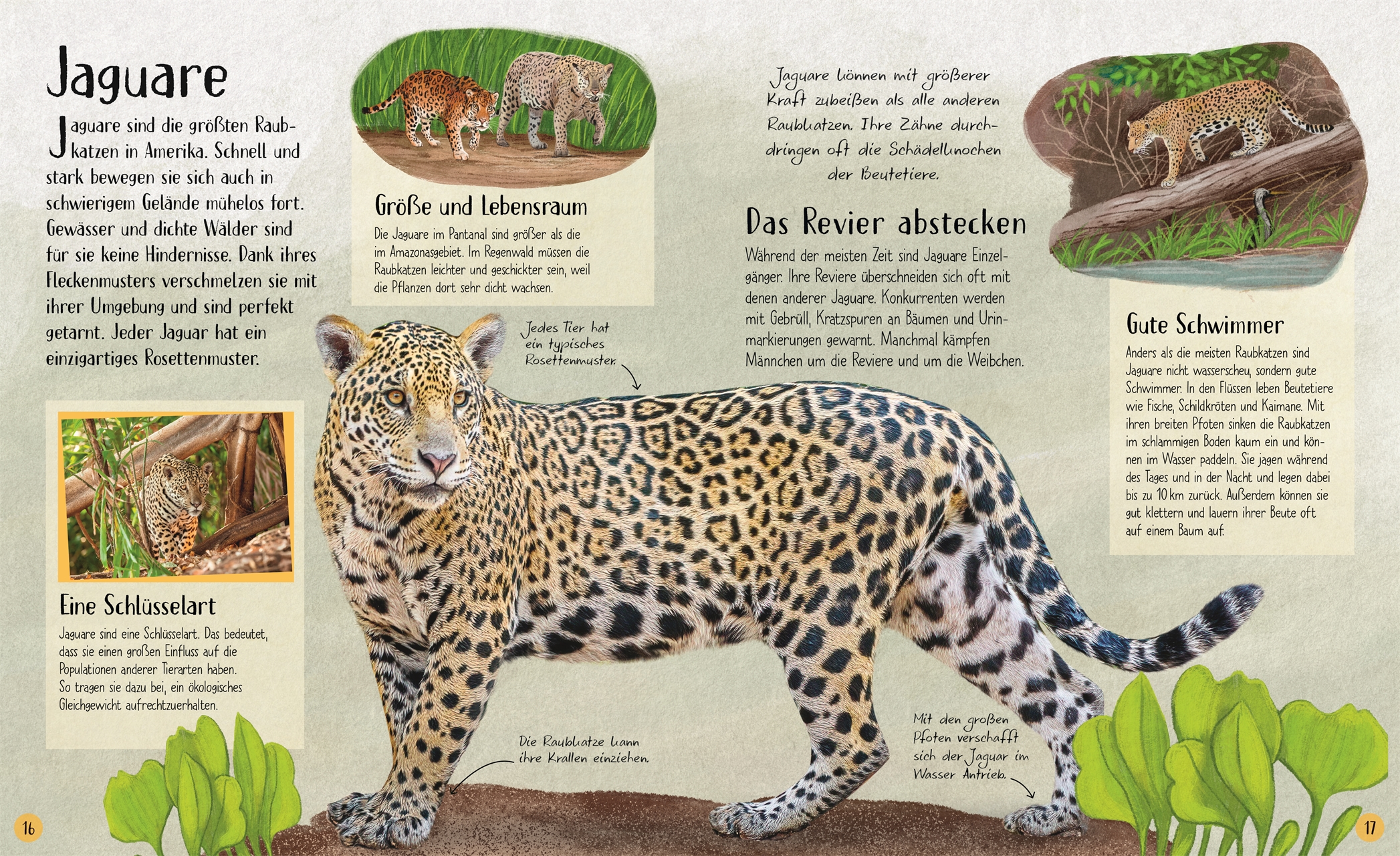 9783831051090_innenansicht_05 9783831051090_innenansicht_05.jpg