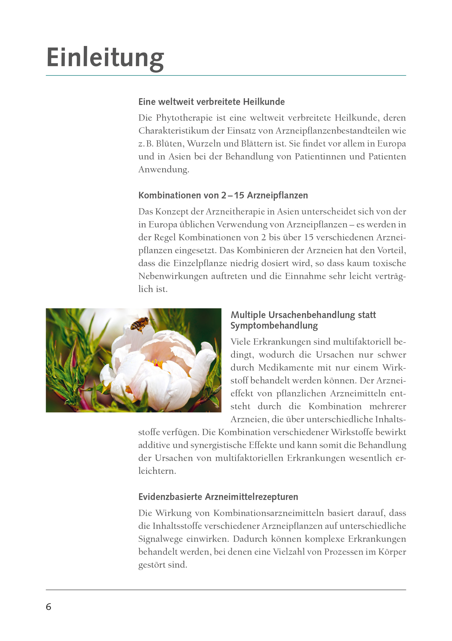 9783969140291_innenansicht_01.jpg