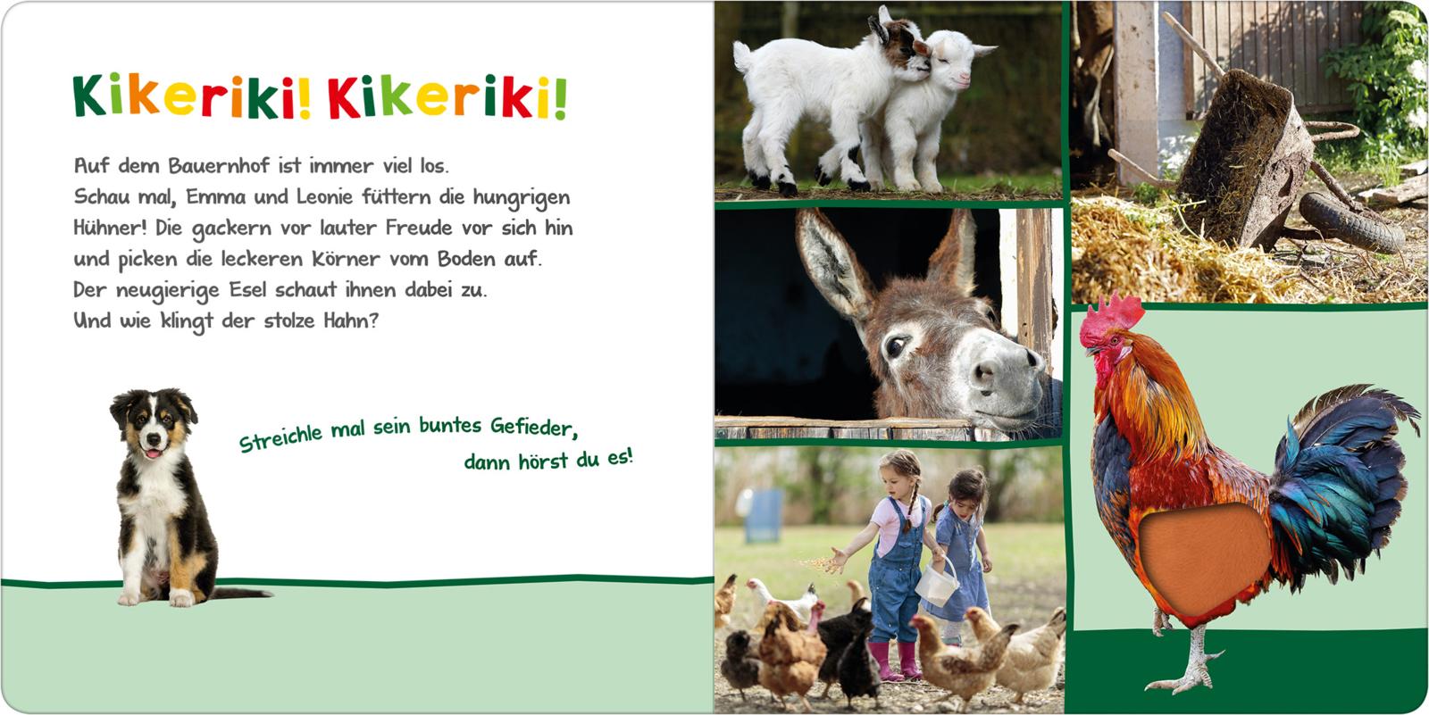 9783845845586_innenansicht_01.jpg