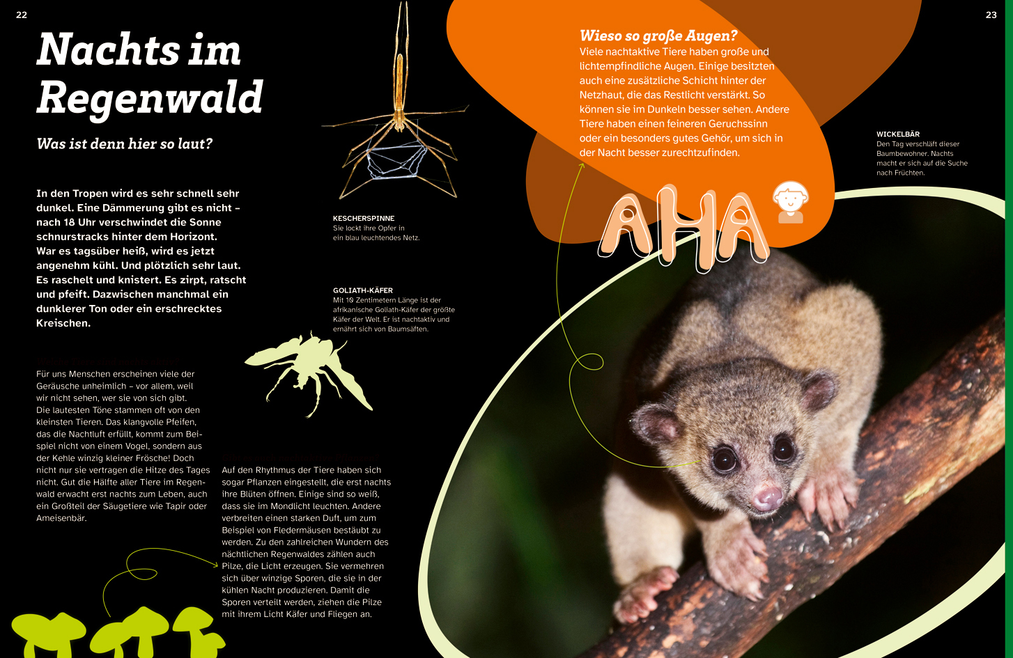 9783788677169_innenansicht_02 9783788677169_innenansicht_02.jpg