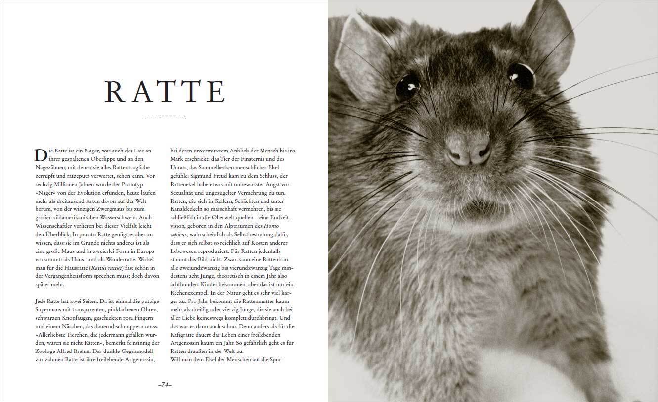 9783809448006_innenansicht_02 9783809448006_innenansicht_02.jpg