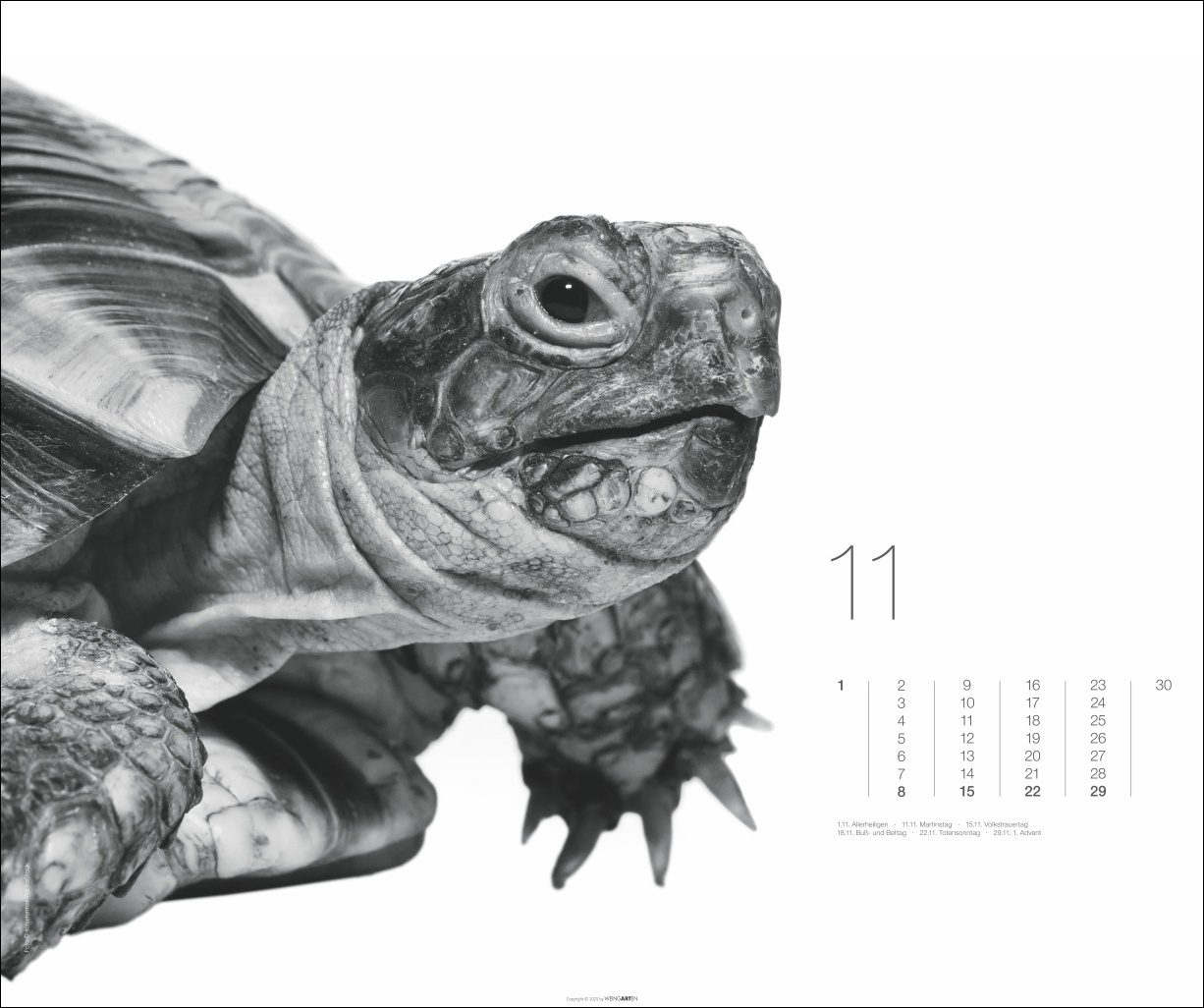 9783839902776_innenansicht_11 9783839902776_innenansicht_11.jpg