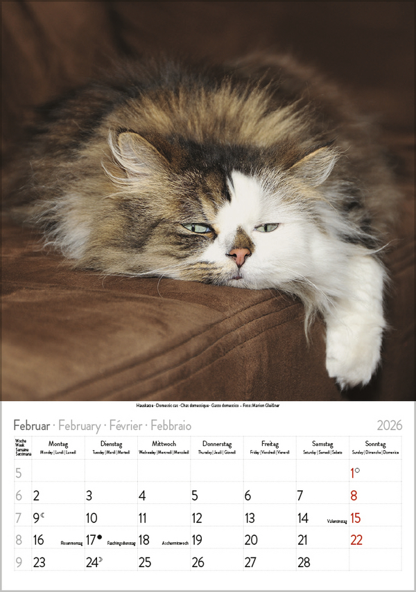 9783731883609_innenansicht_02 9783731883609_innenansicht_02.jpg