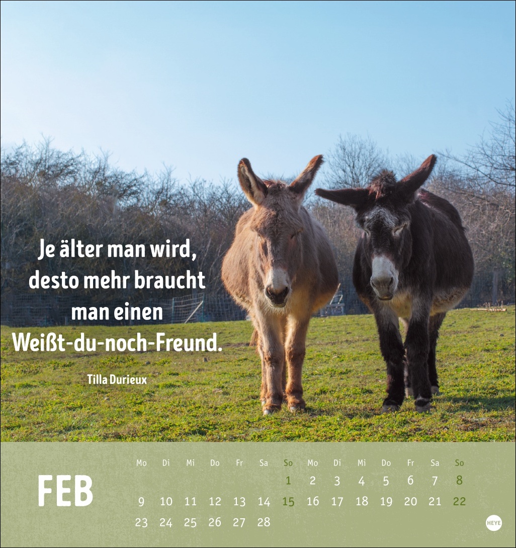 9783756413522_innenansicht_02.jpg