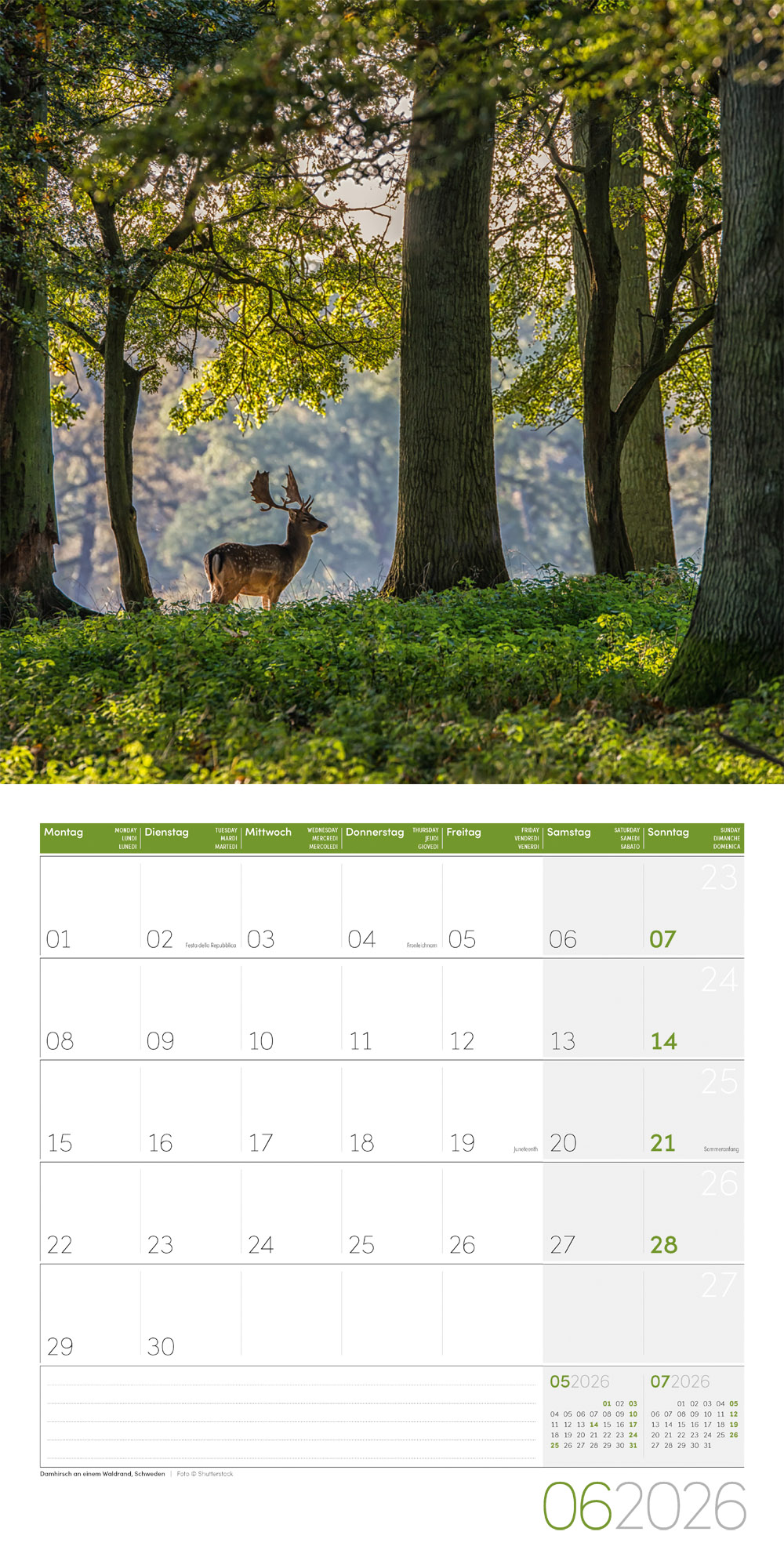 9783838446110_innenansicht_06 9783838446110_innenansicht_06.jpg