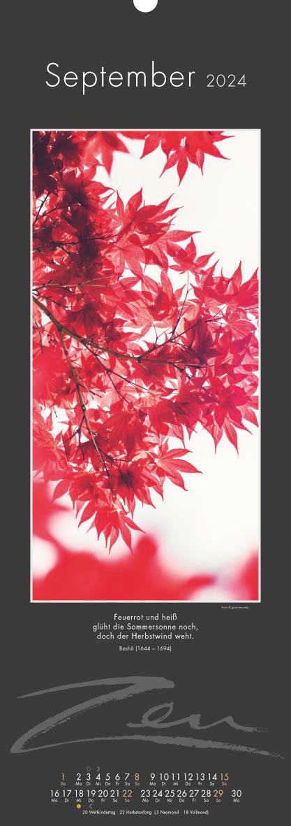 9783948276263_innenansicht_09 9783948276263_innenansicht_09.jpg