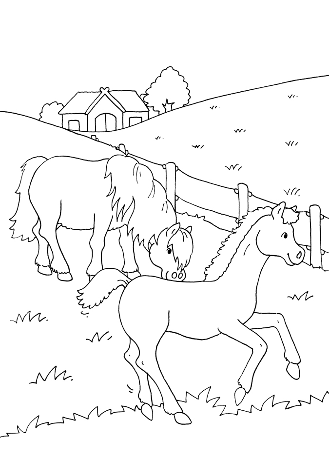 9783788637842_innenansicht_01 9783788637842_innenansicht_01.jpg