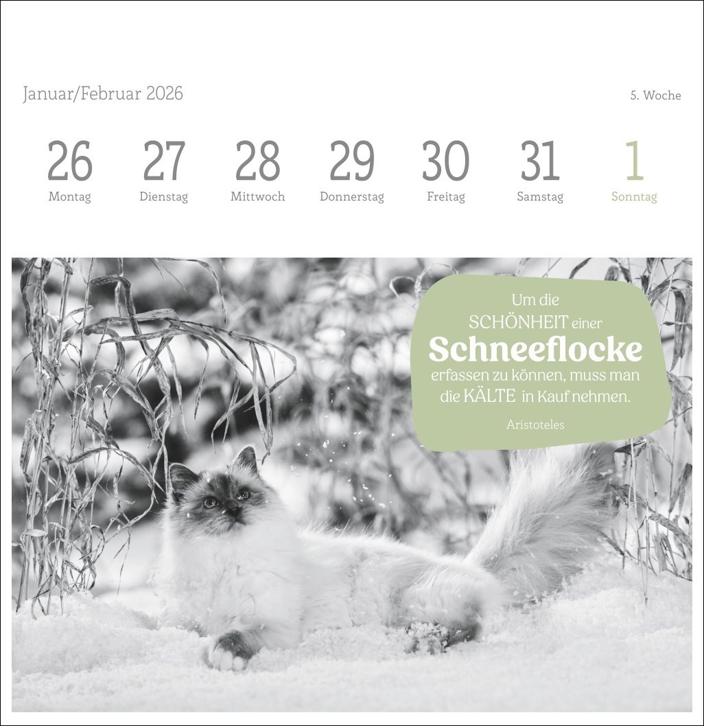 9783756411955_innenansicht_05.jpg
